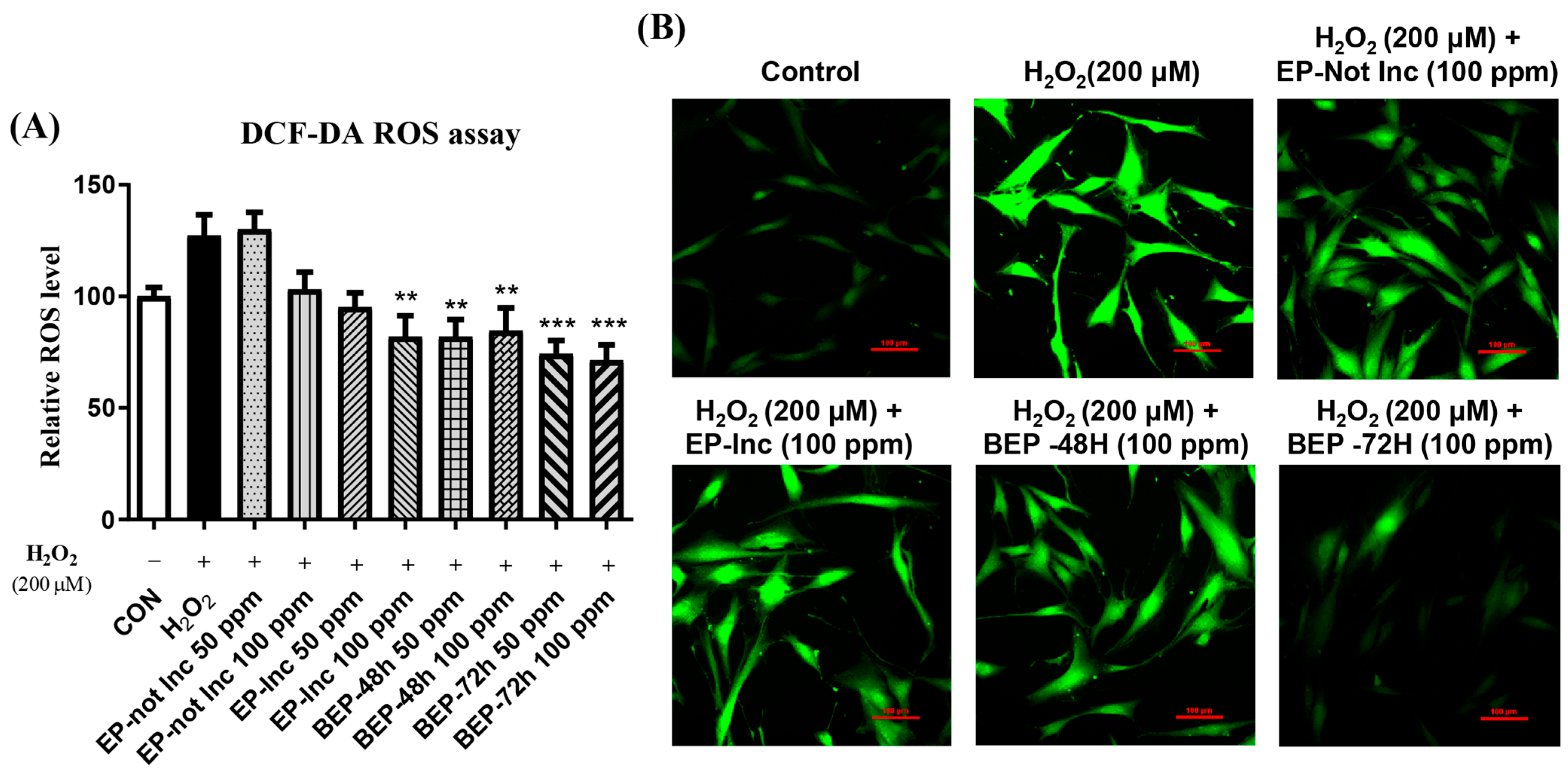 Nutrients 17 00847 g003