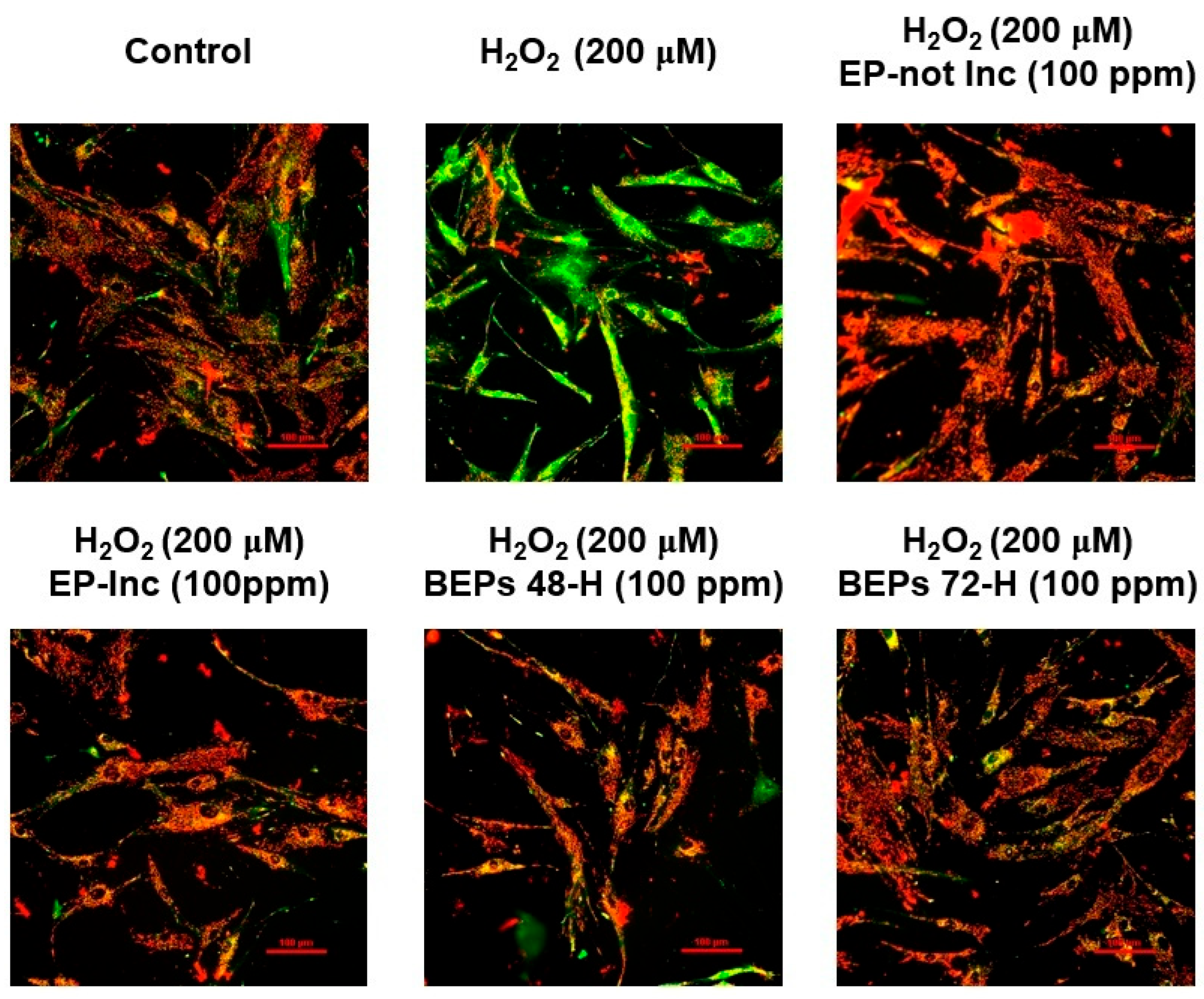 Nutrients 17 00847 g004