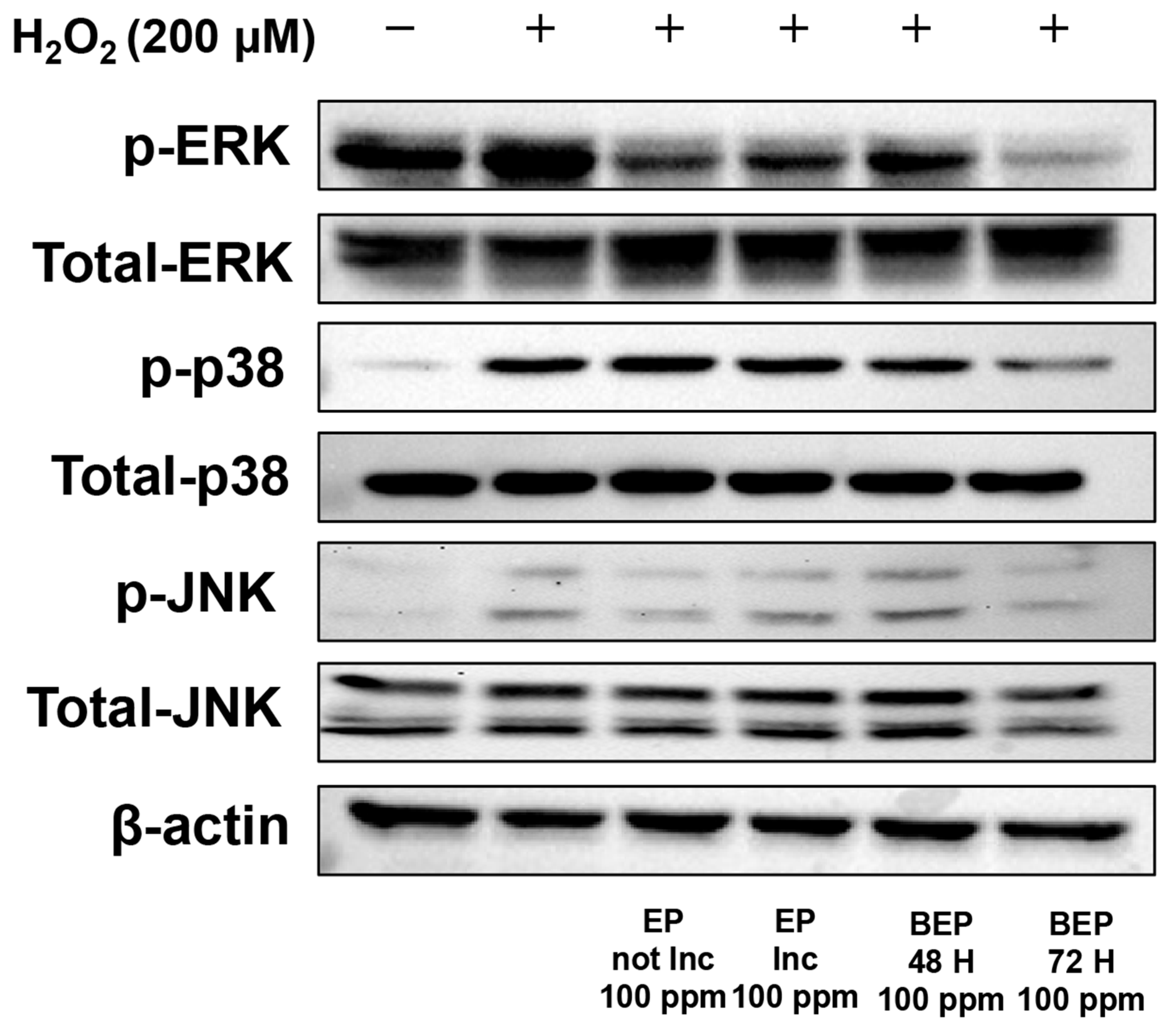 Nutrients 17 00847 g005