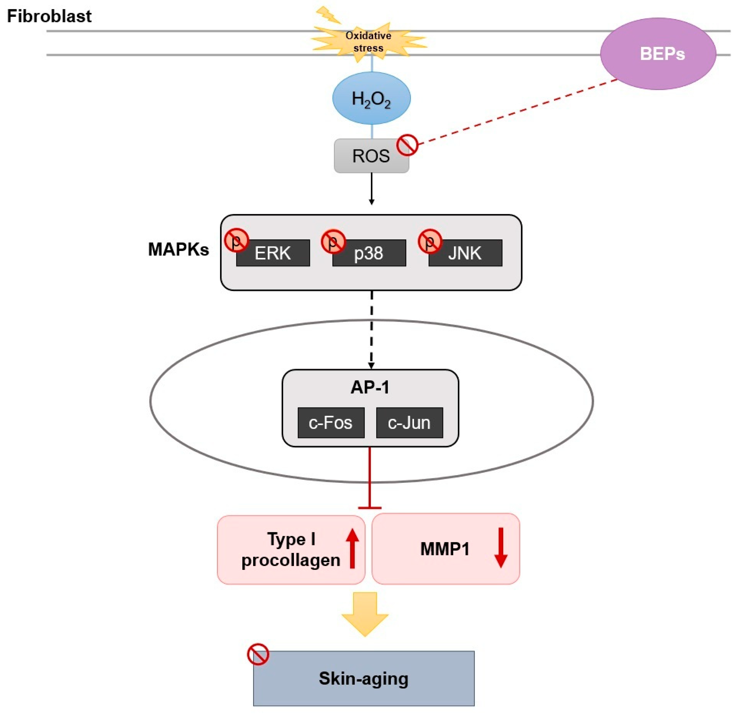 Nutrients 17 00847 g007