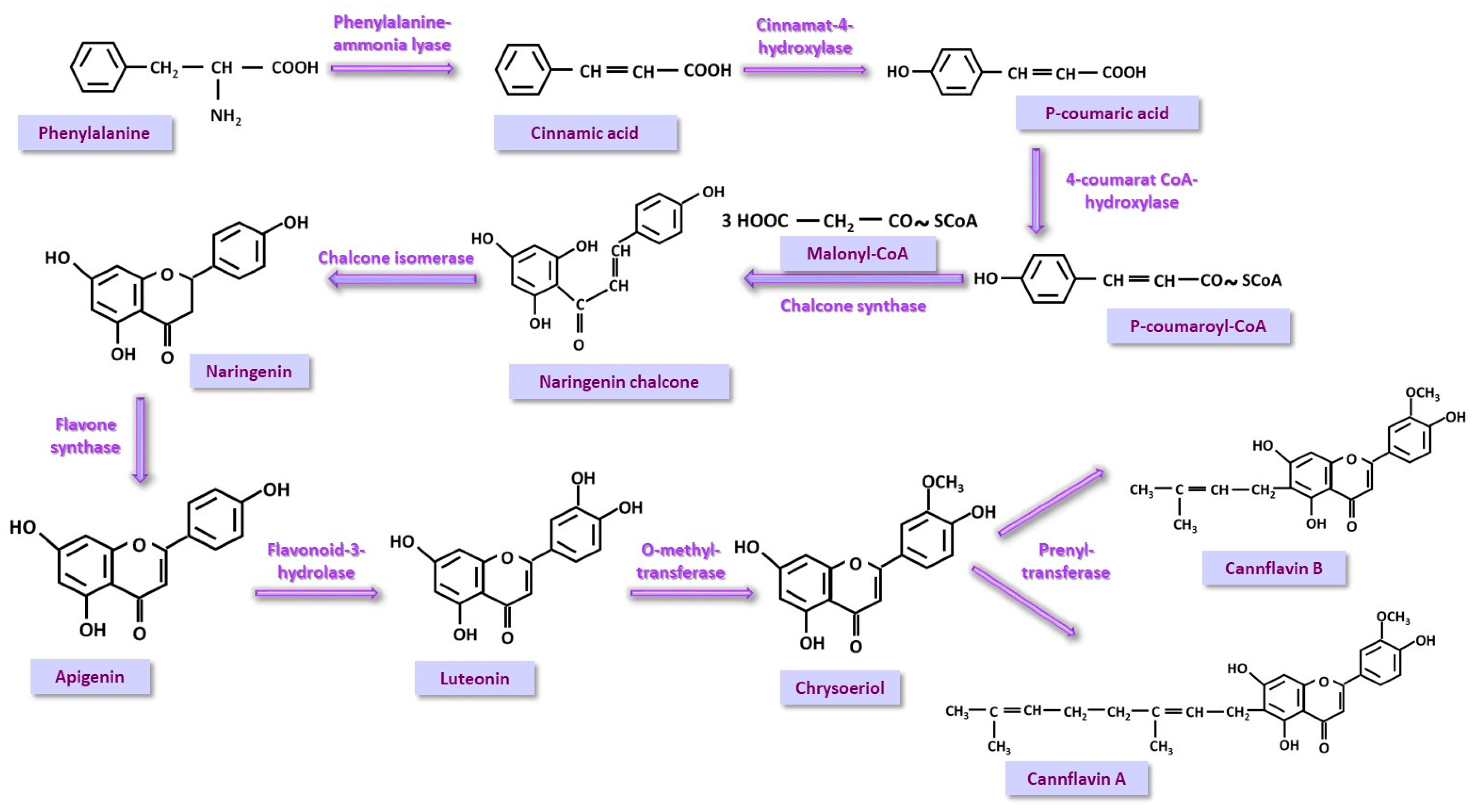 Nutrients 17 00861 g005
