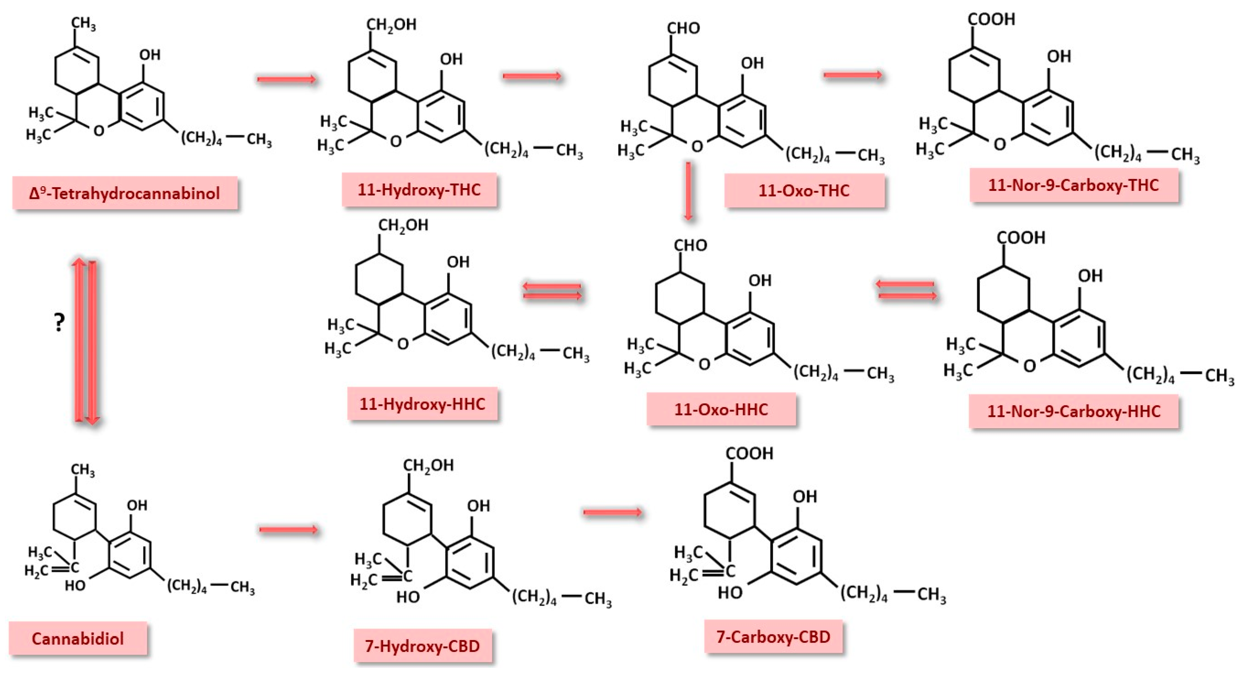 Nutrients 17 00861 g006