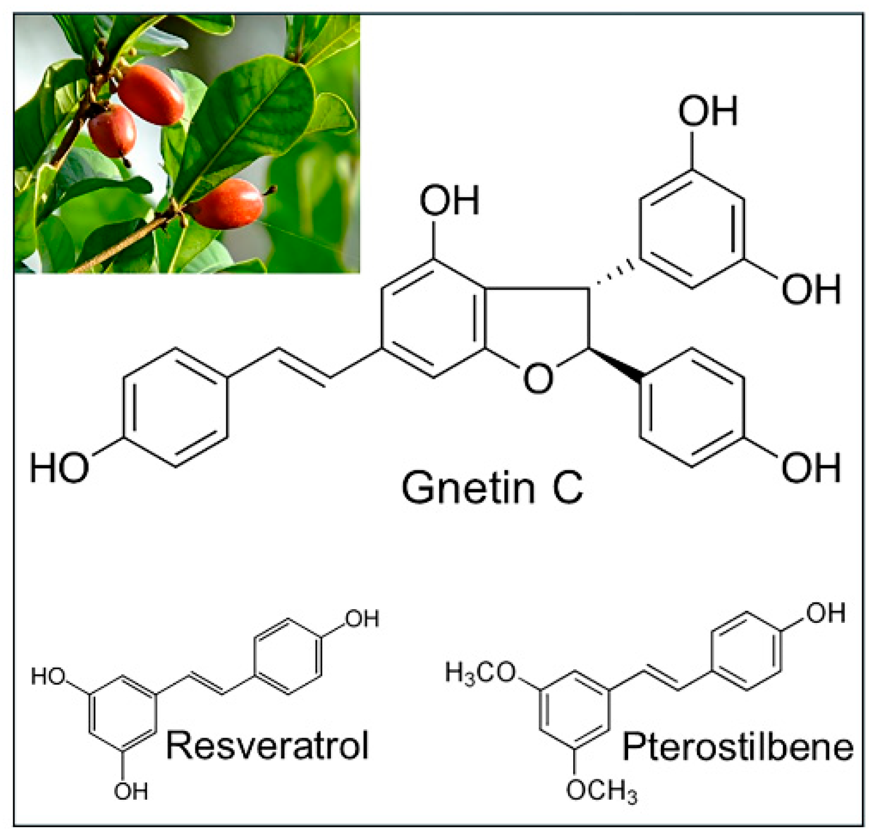 Nutrients 17 00863 g001
