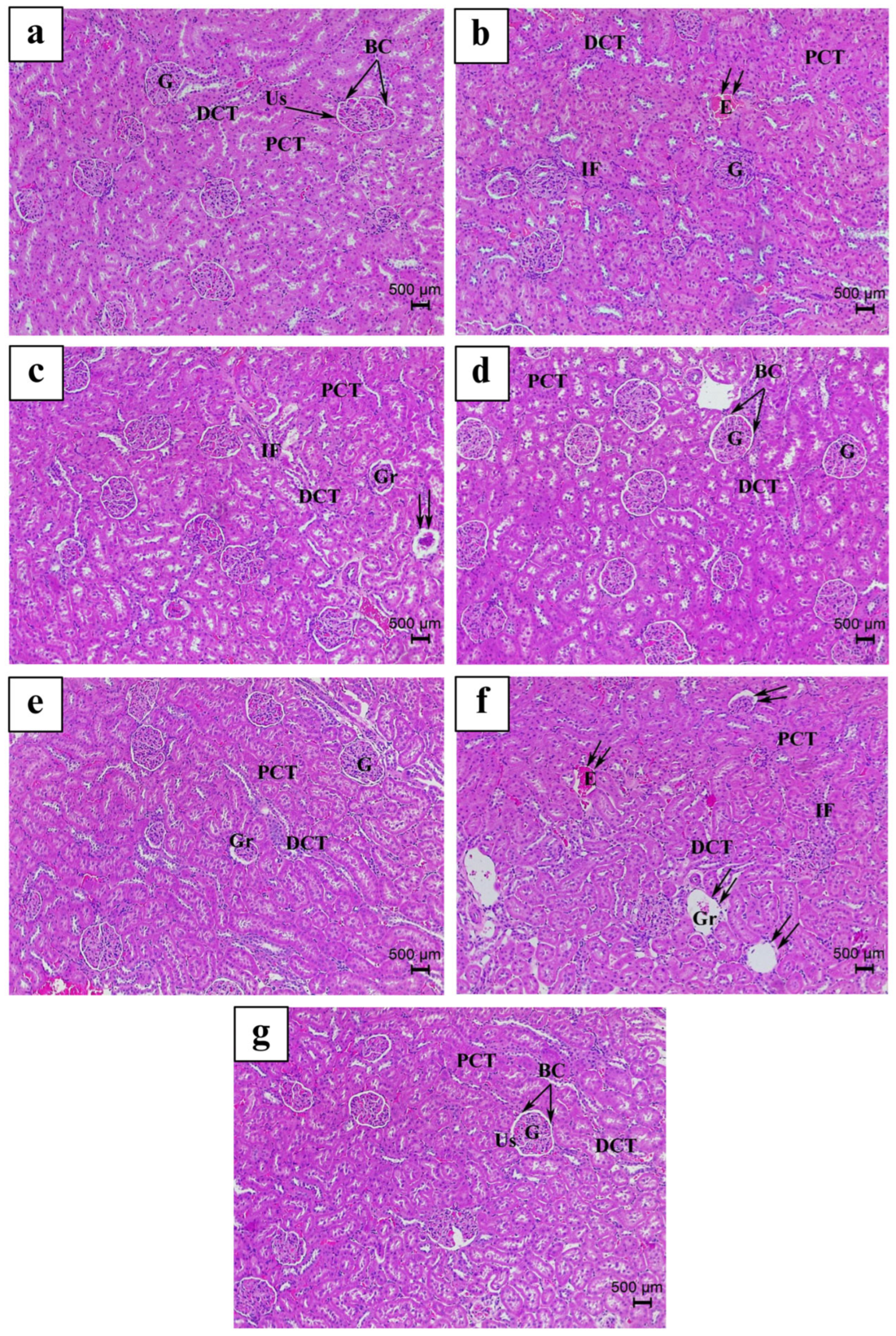 Nutrients 17 00875 g006