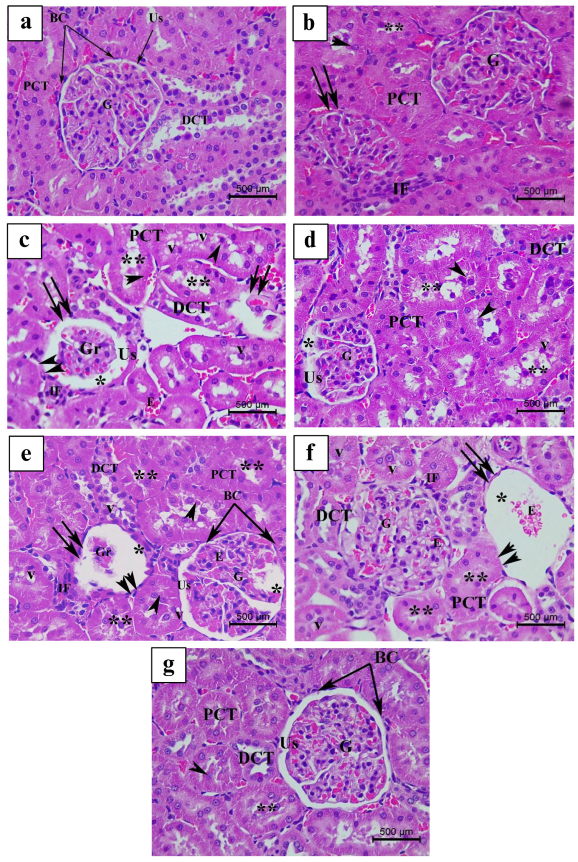 Nutrients 17 00875 g007