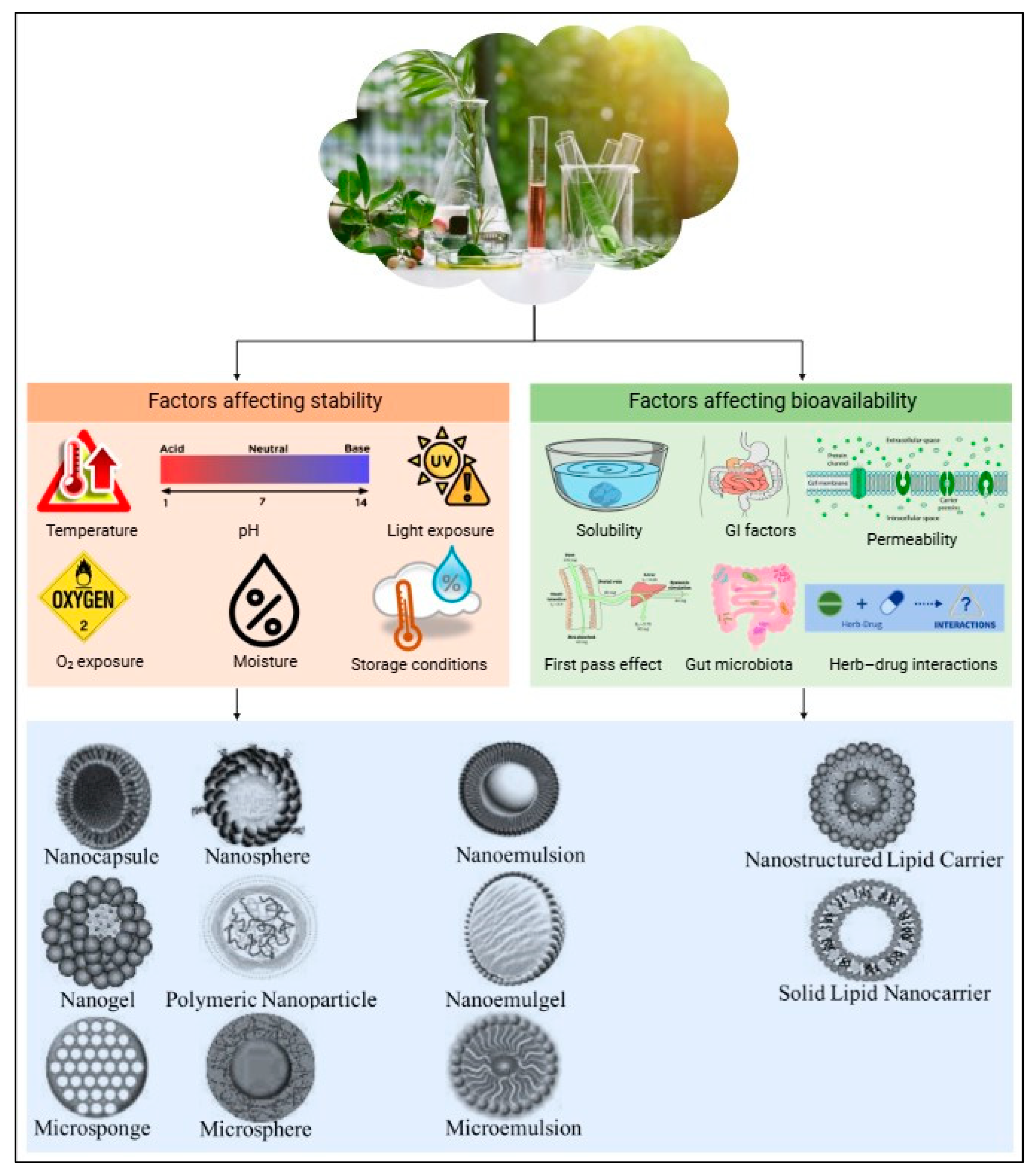 Nutrients 17 00877 g003