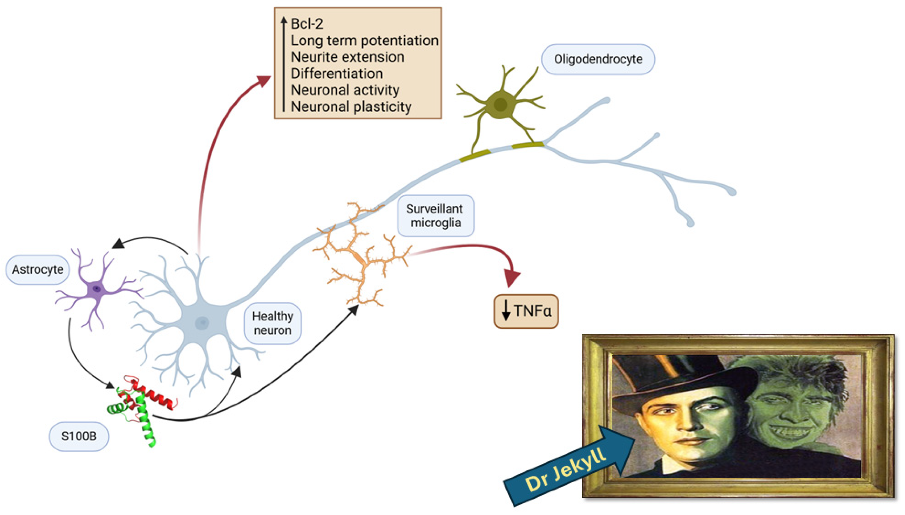 Nutrients 17 00881 g001