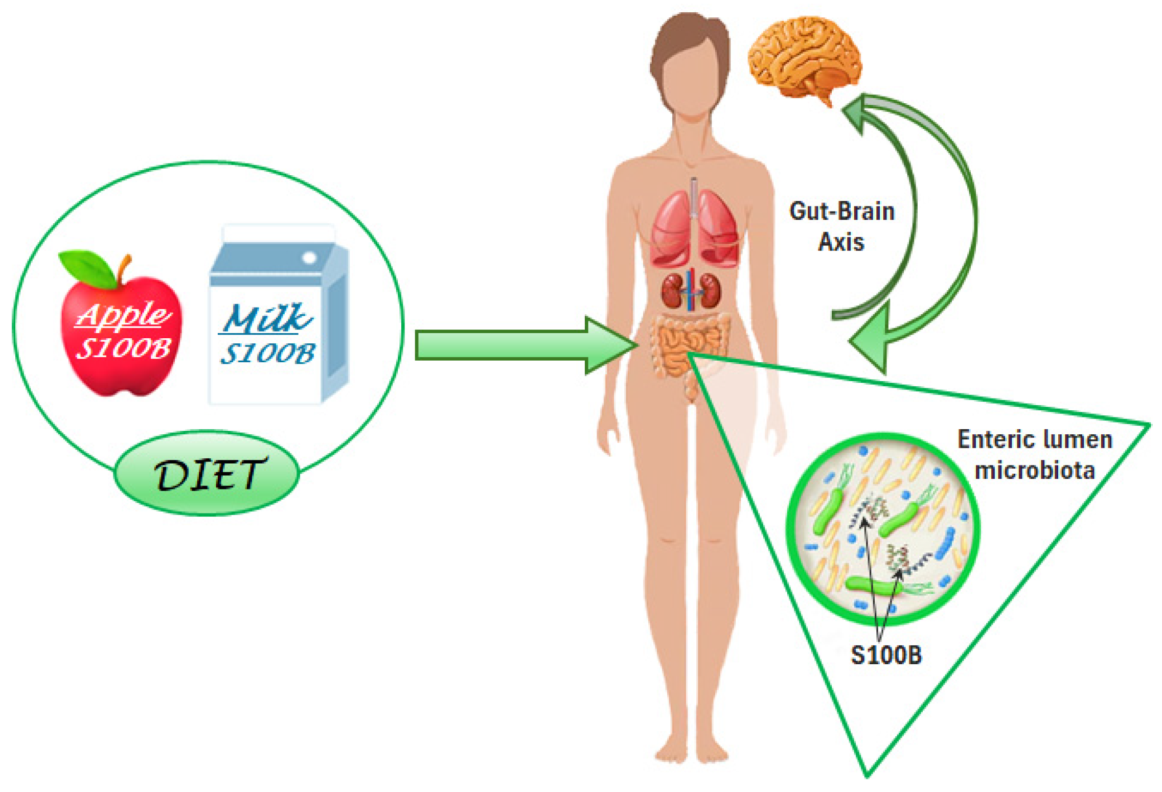 Nutrients 17 00881 g002