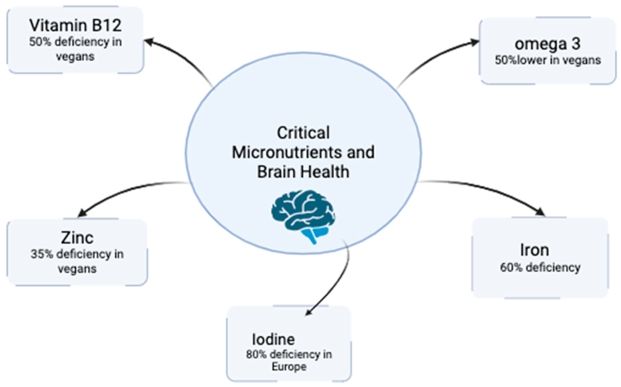 Impact of Vegan and Vegetarian Diets on Neurological Health