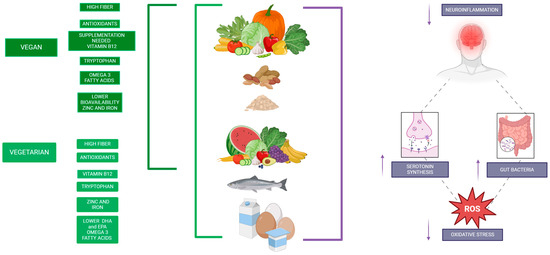 Impact of Vegan and Vegetarian Diets on Neurological Health
