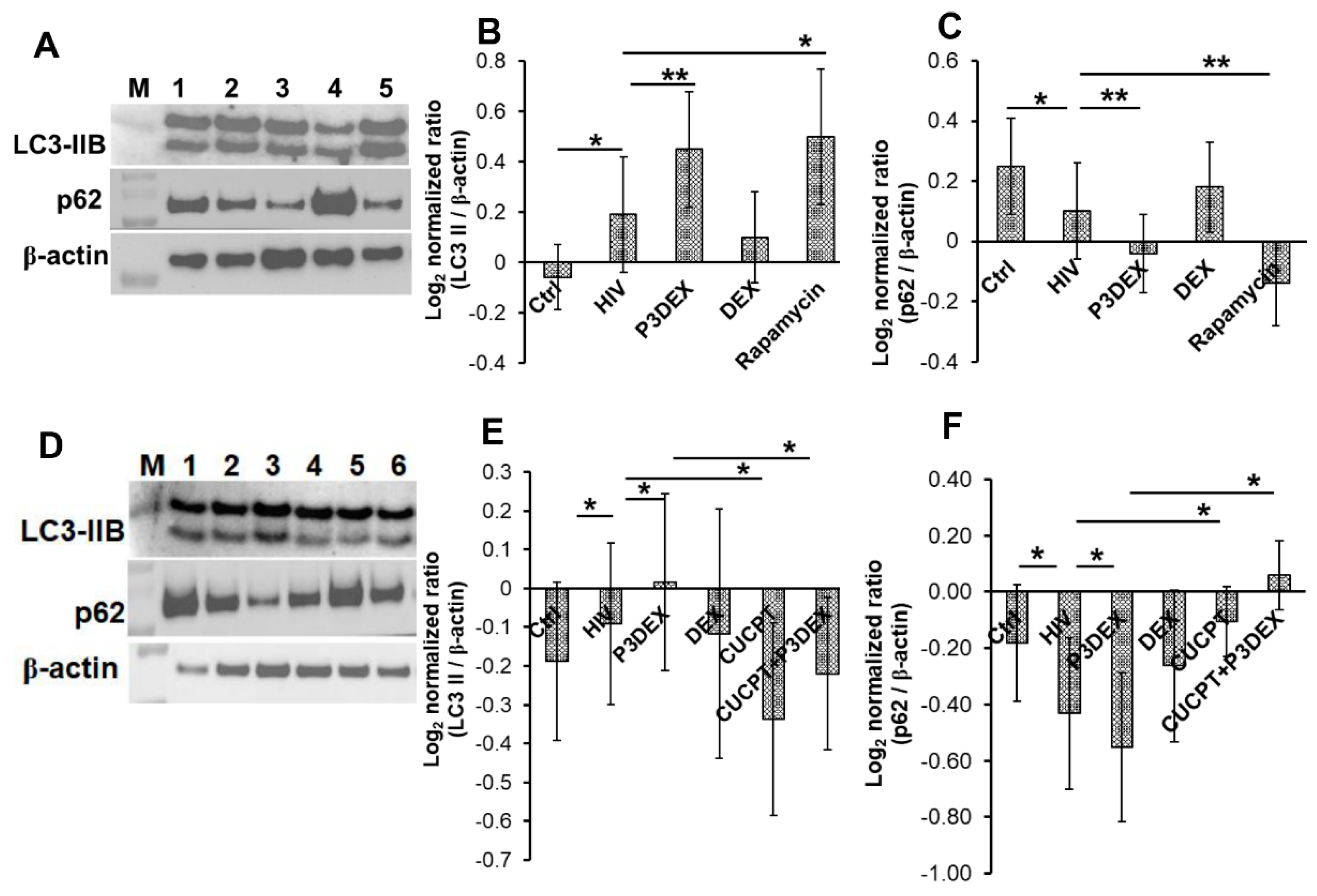 Nutrients 17 00890 g004
