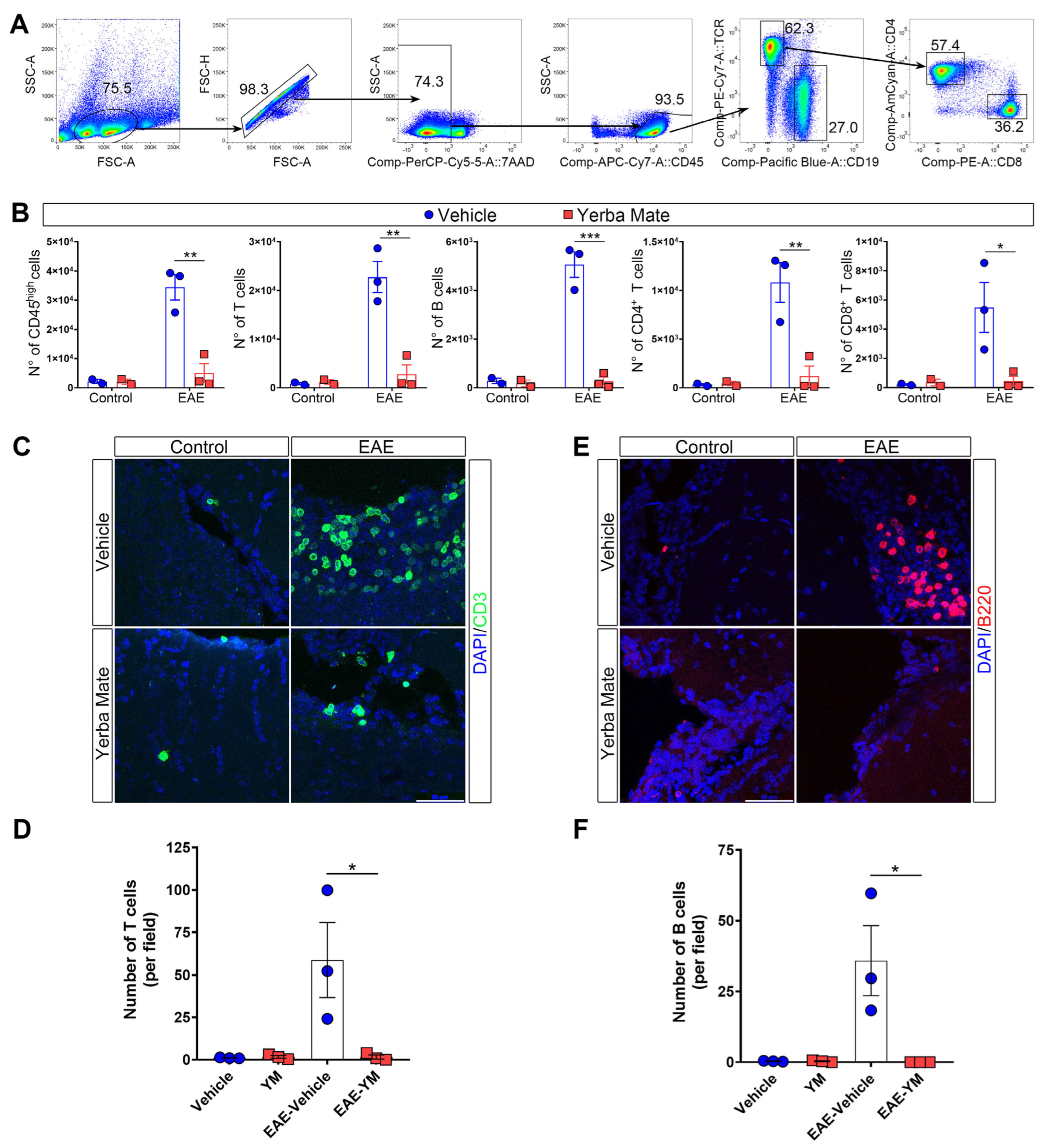 Nutrients 17 00897 g002