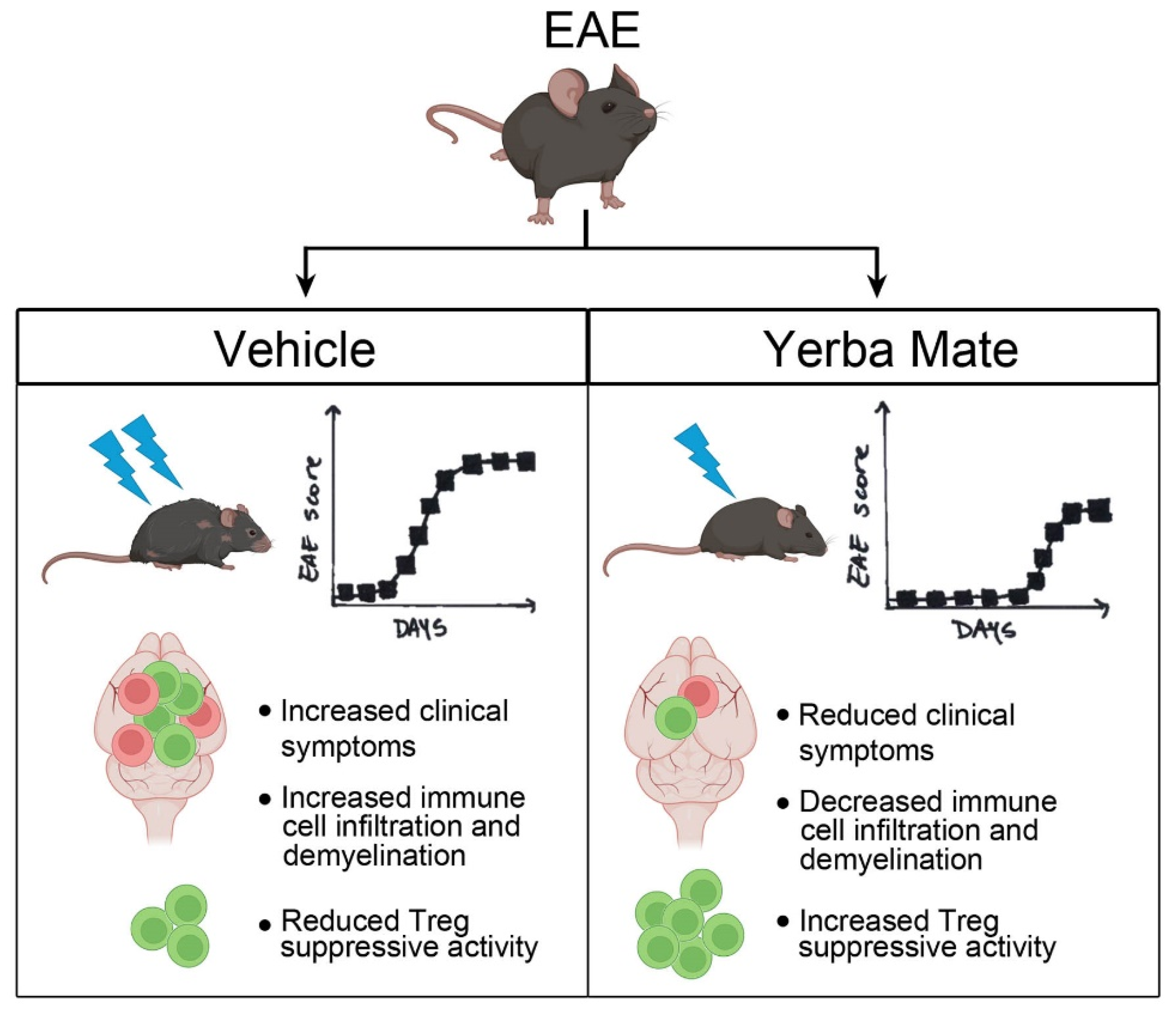 Nutrients 17 00897 g006