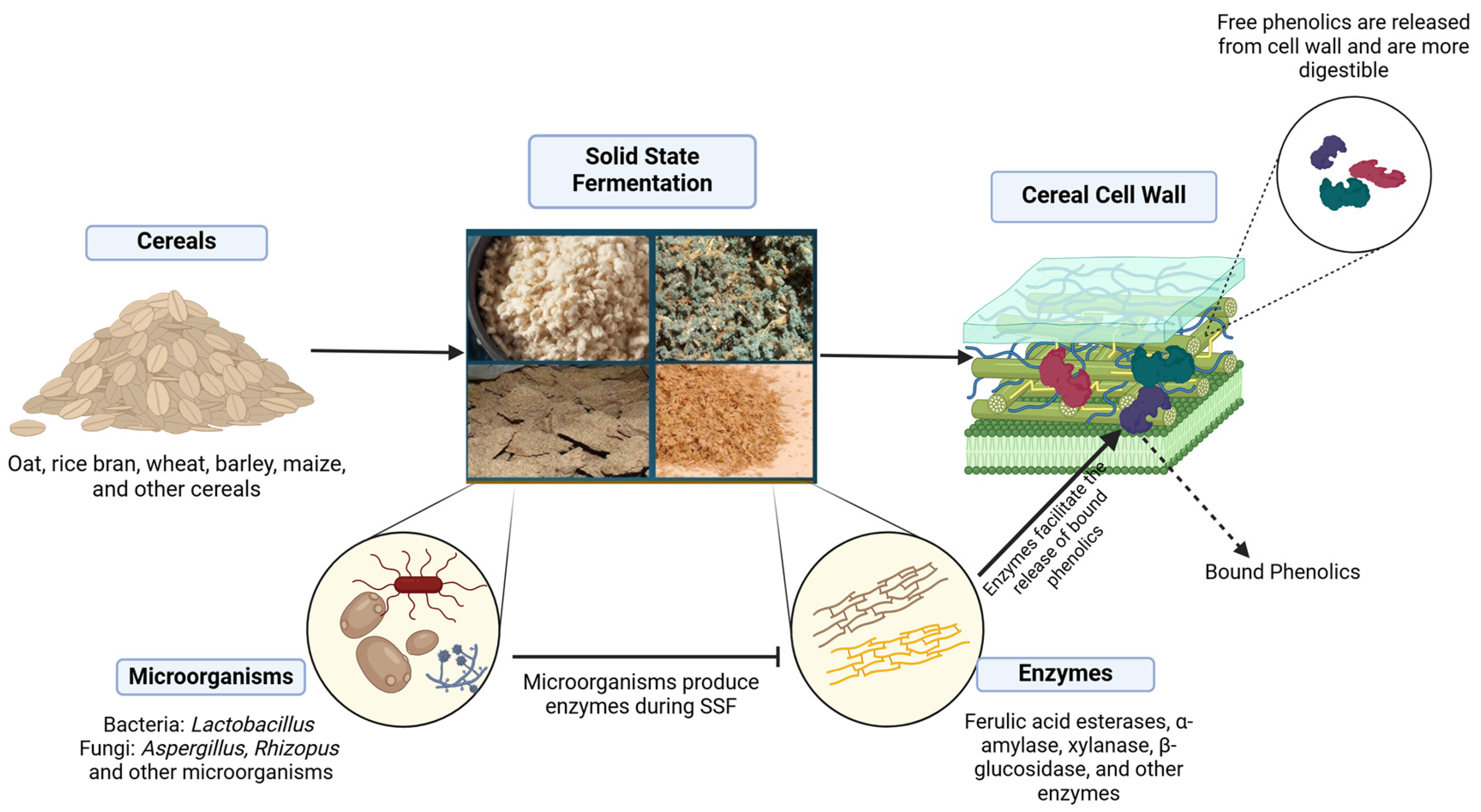 Nutrients 17 00900 g001