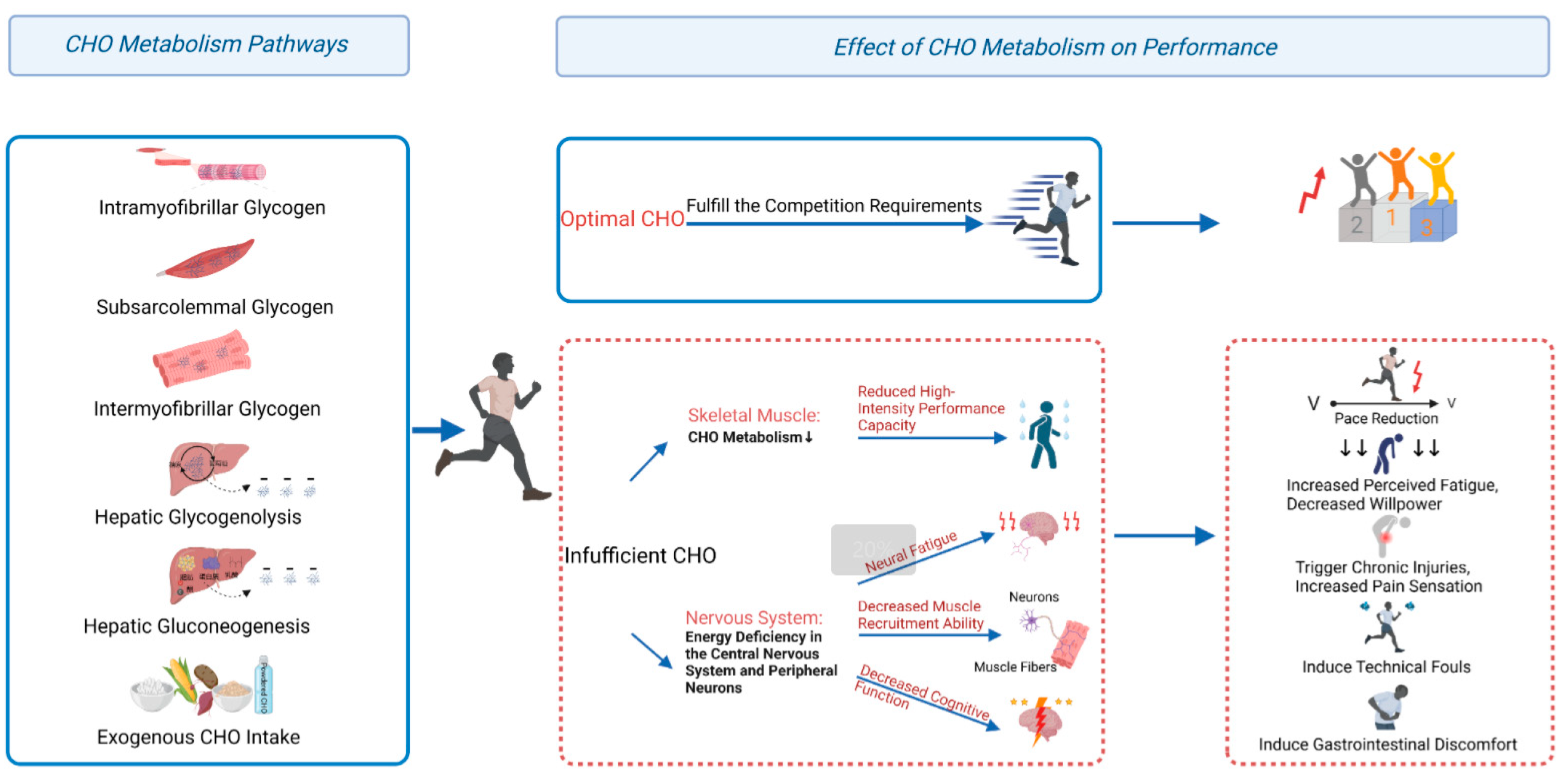 Nutrients 17 00918 g001