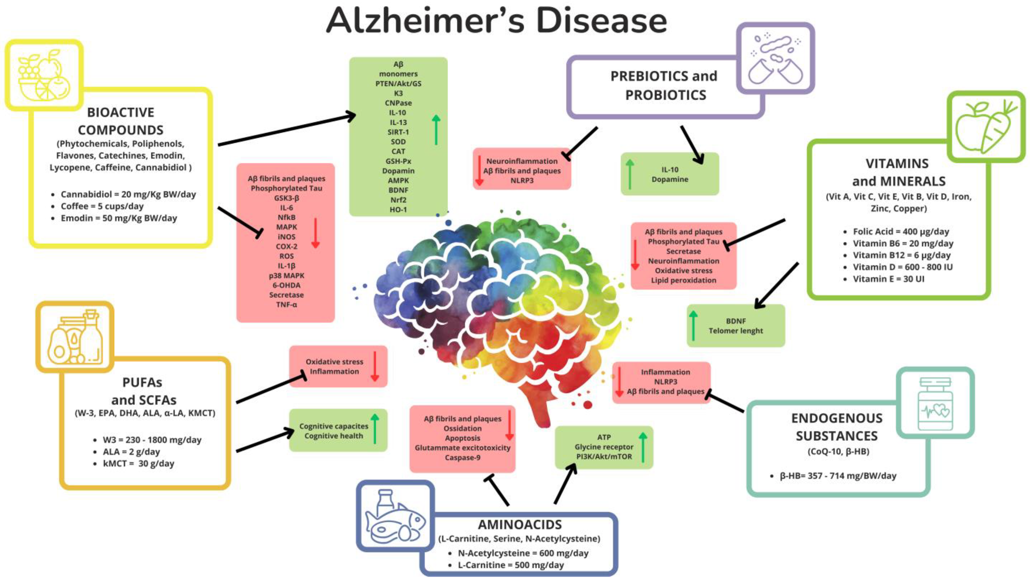 Nutrients 17 00922 g002