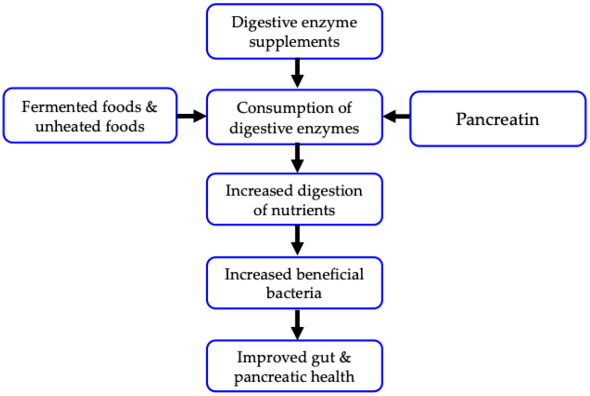 Nutrients 17 00924 g001 Nutrients 17 00924 g001