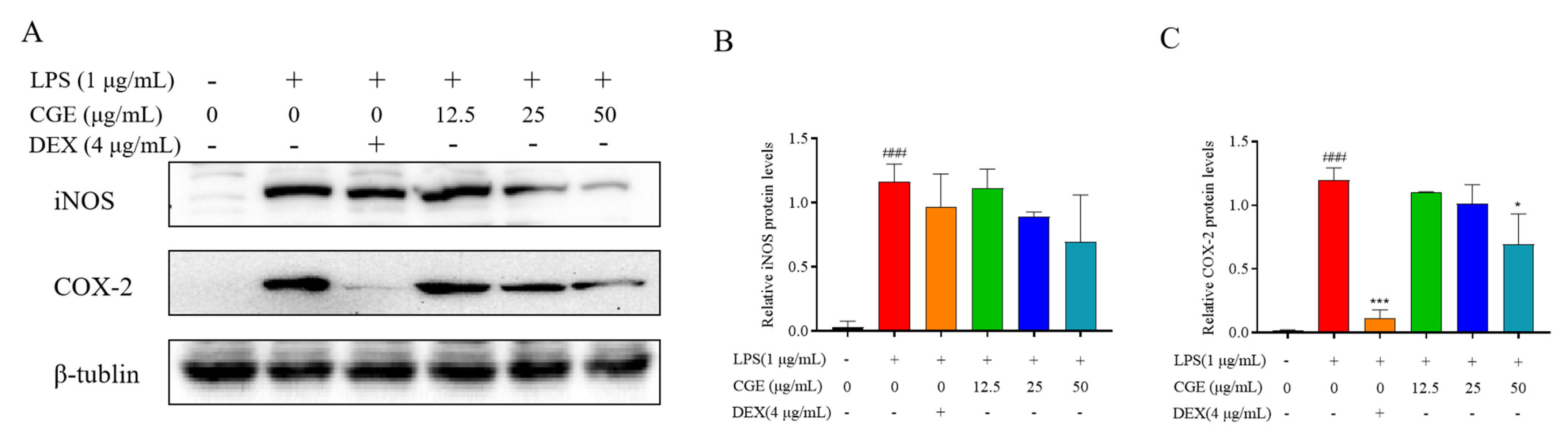 Nutrients 17 00925 g006
