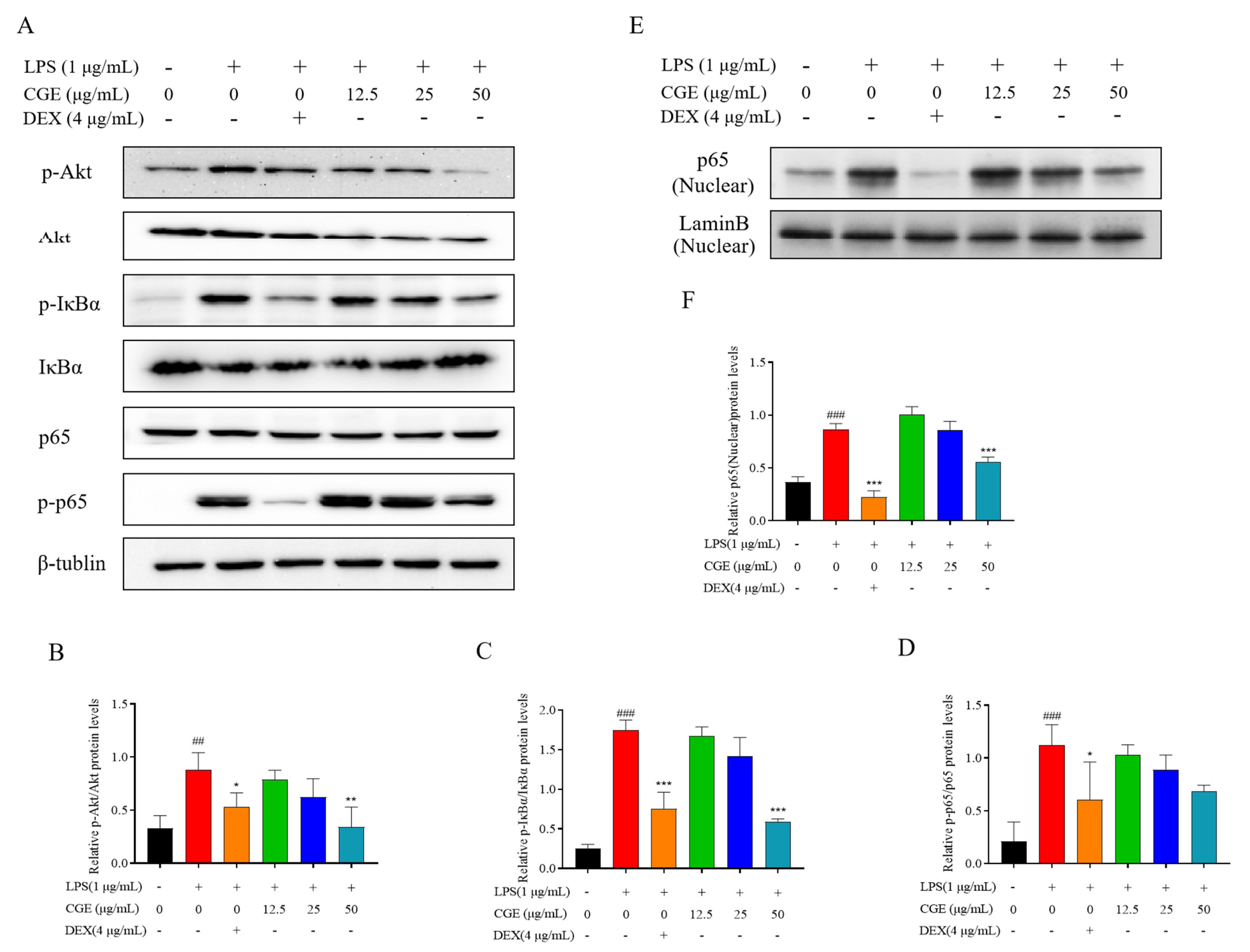 Nutrients 17 00925 g007