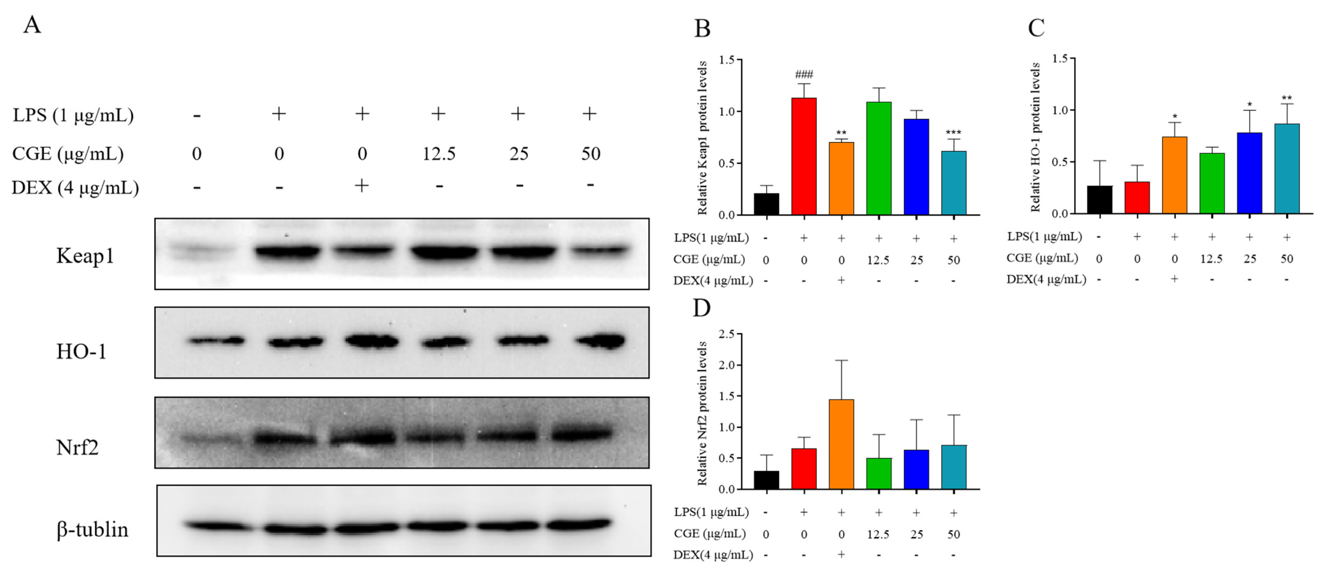 Nutrients 17 00925 g008