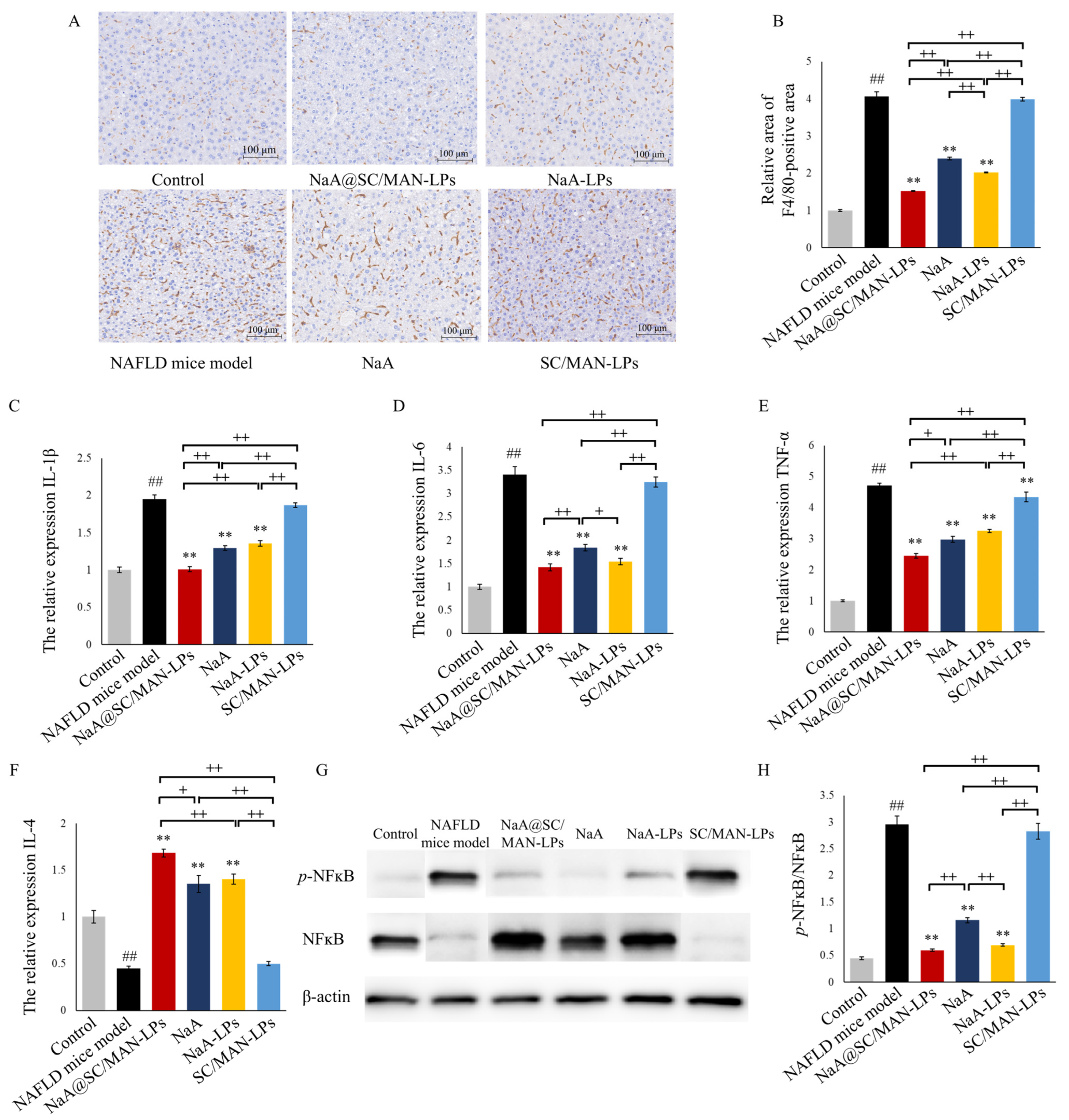 Nutrients 17 00930 g006