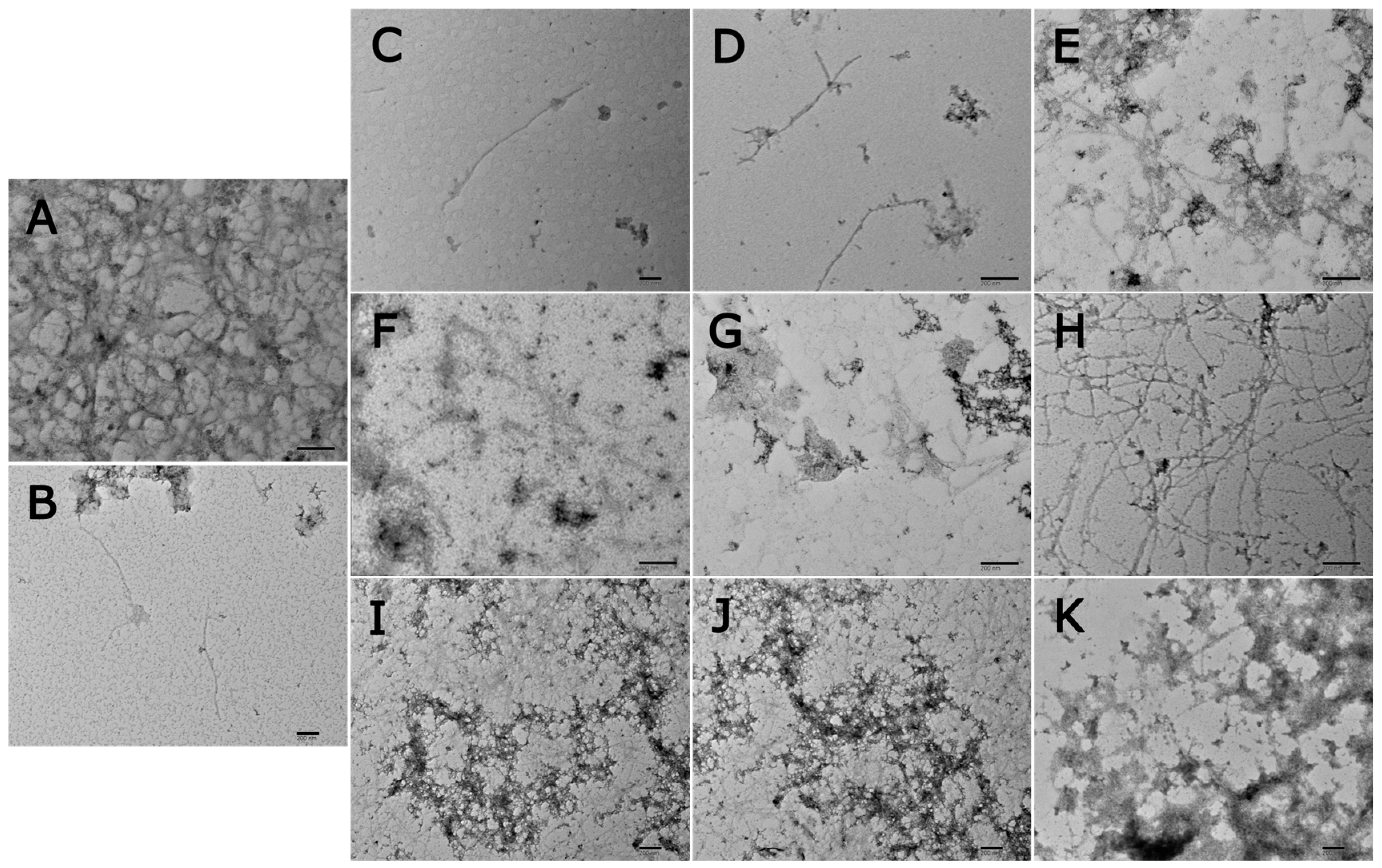 Nutrients 17 00935 g012