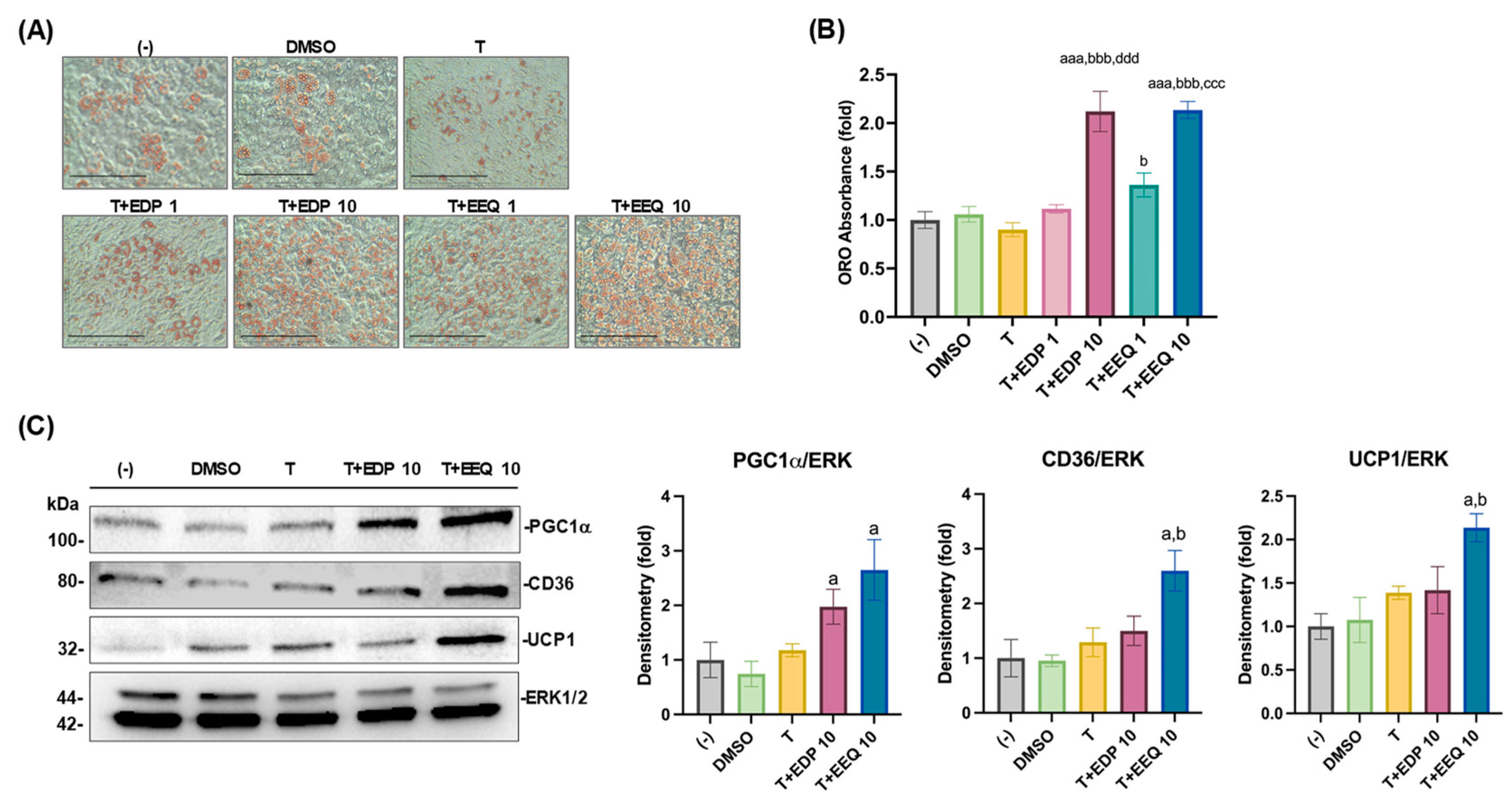 Nutrients 17 00936 g001 Nutrients 17 00936 g001