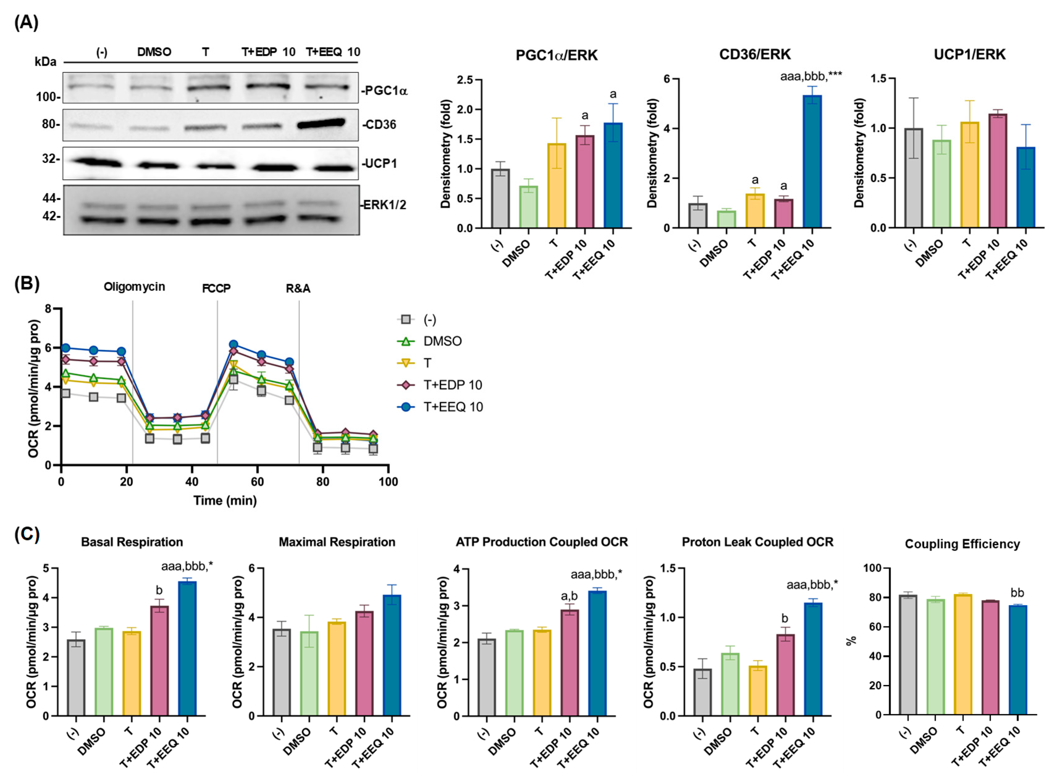 Nutrients 17 00936 g004 Nutrients 17 00936 g004