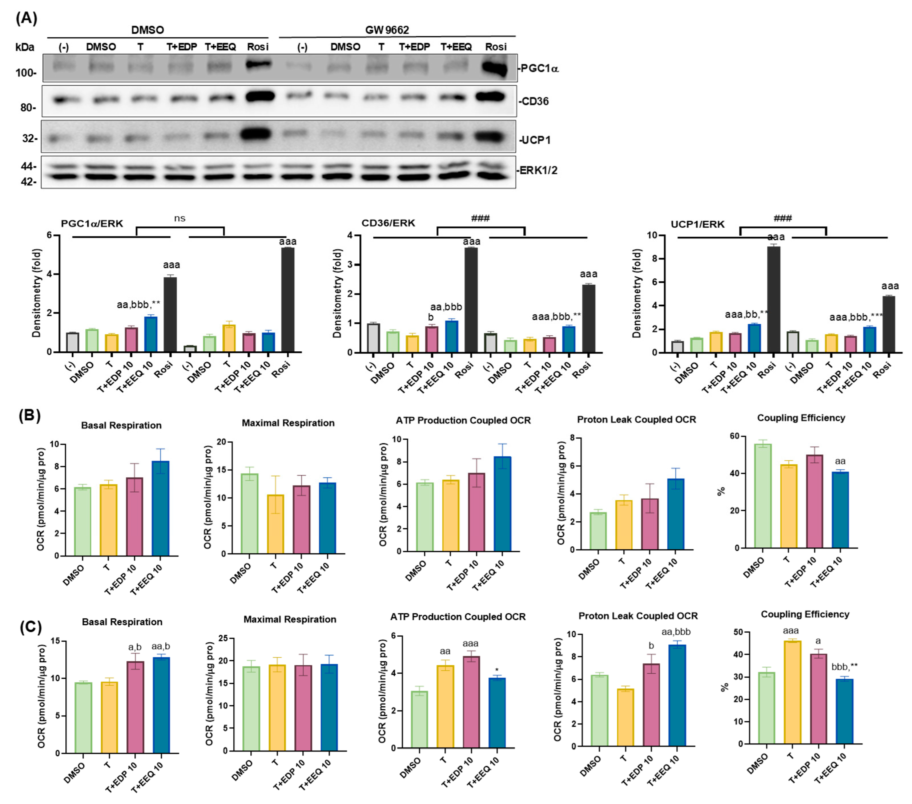 Nutrients 17 00936 g007 Nutrients 17 00936 g007