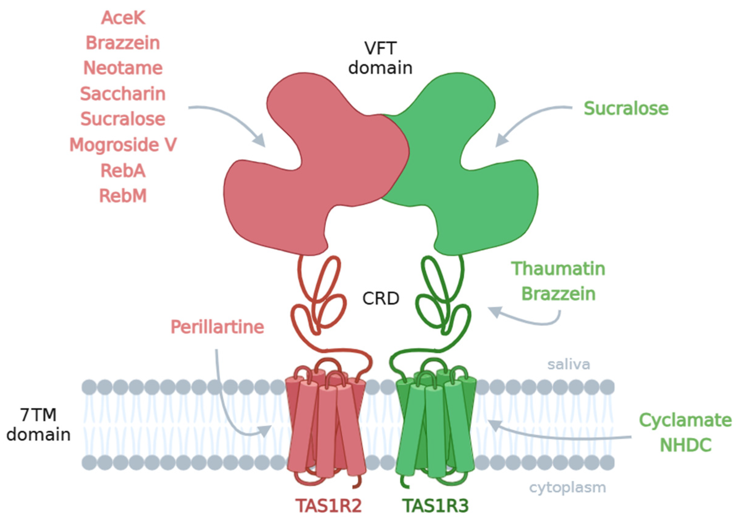 Nutrients 17 00949 g001 Nutrients 17 00949 g001