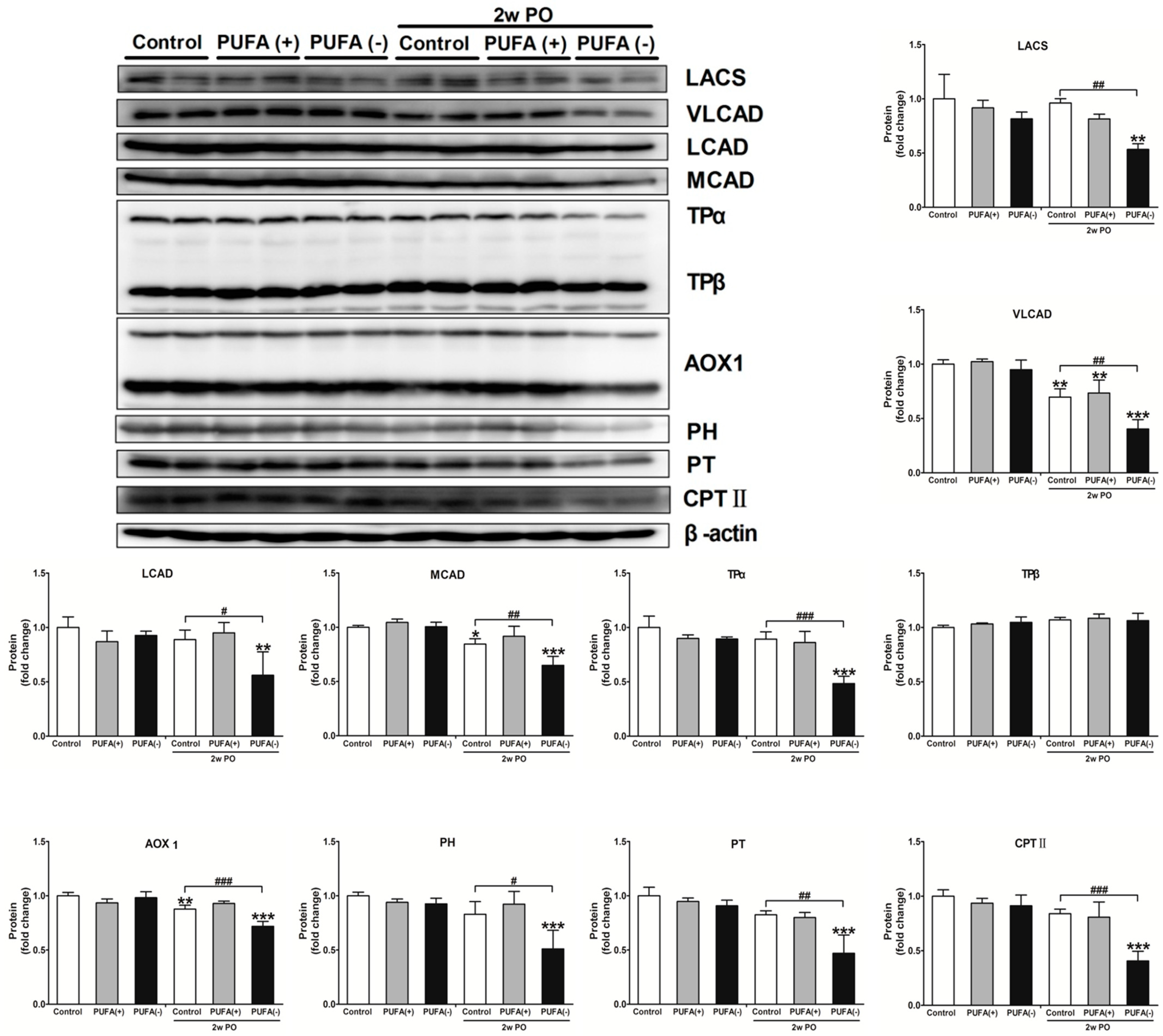 Nutrients 17 00961 g008