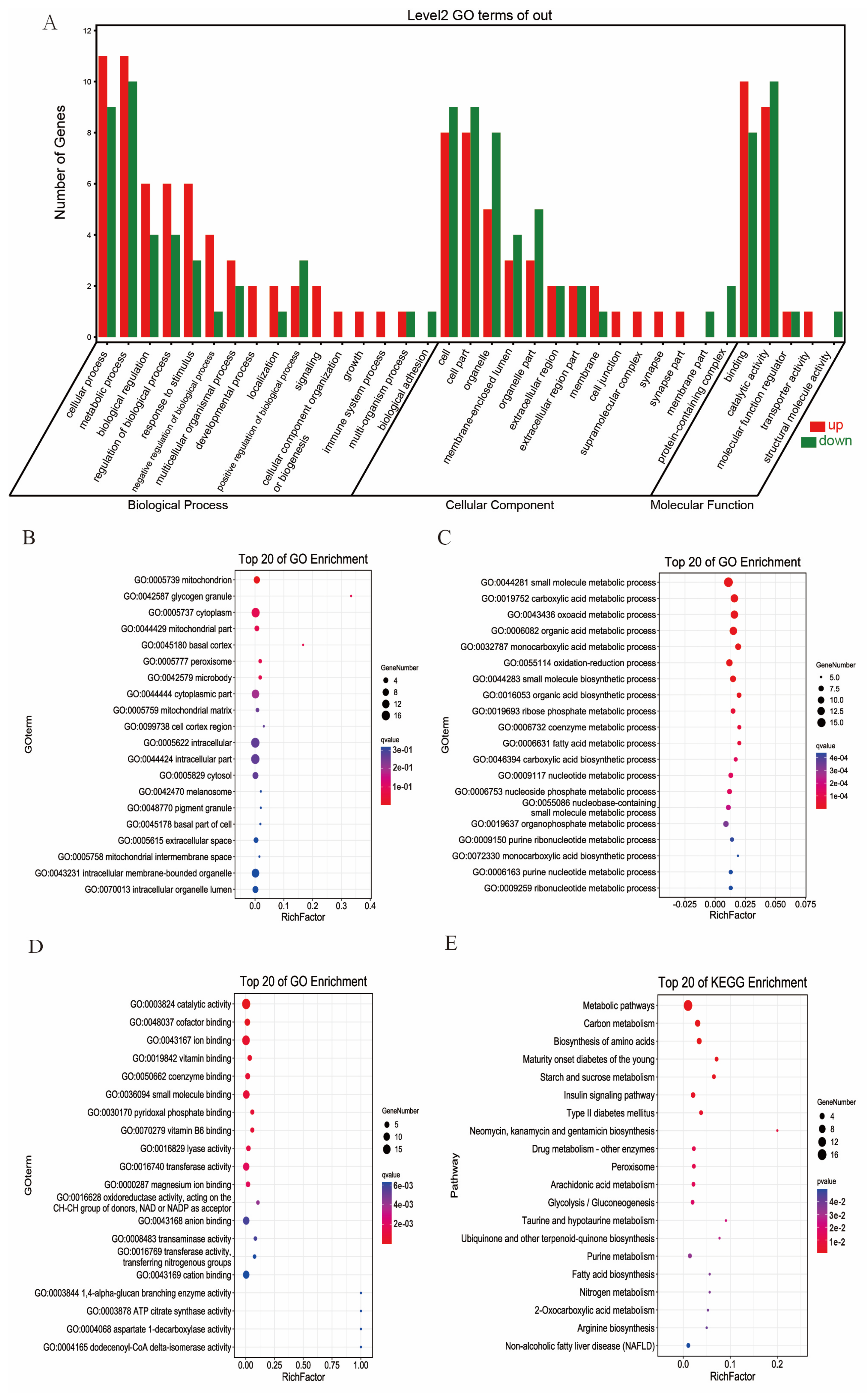 Nutrients 17 00964 g004