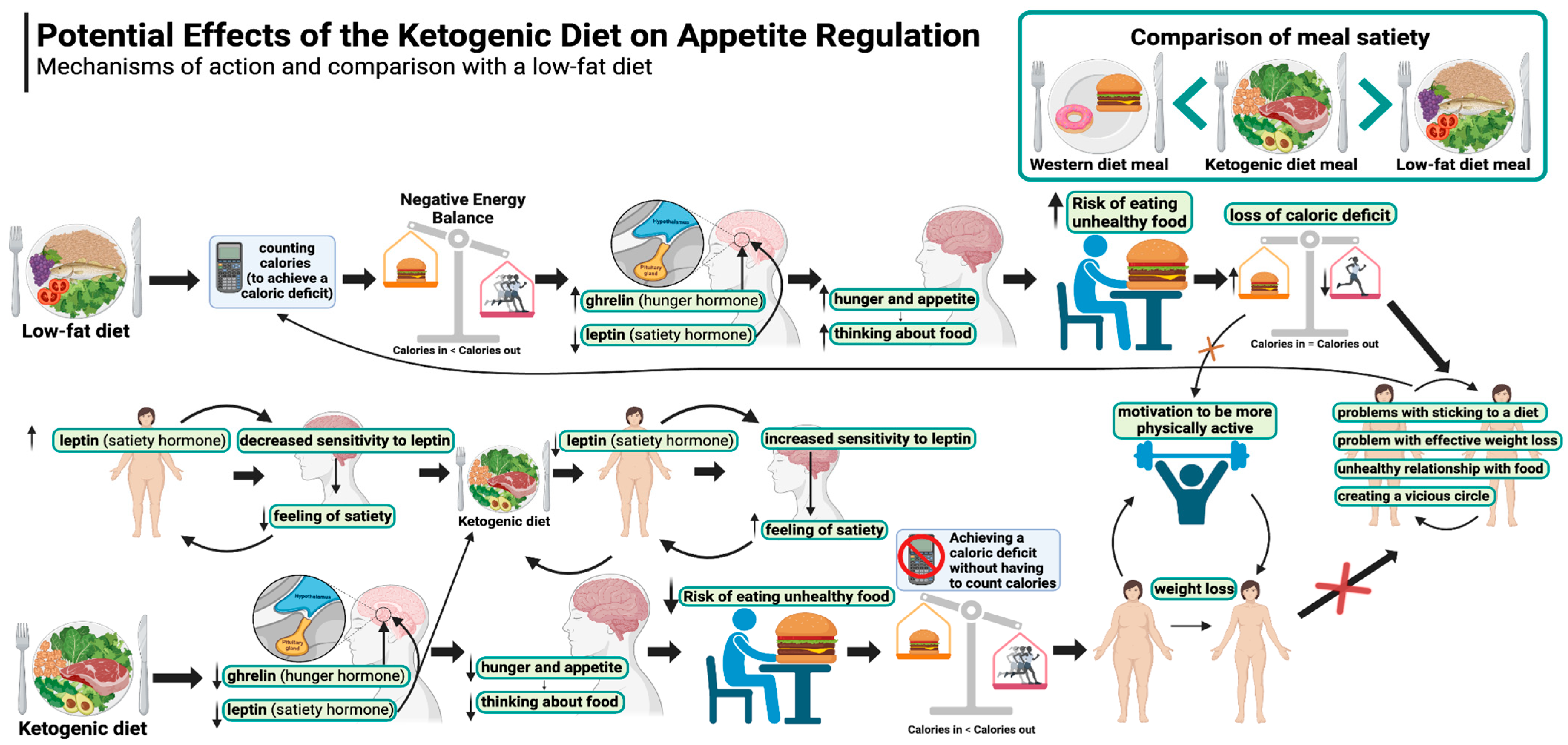 Nutrients 17 00965 g001