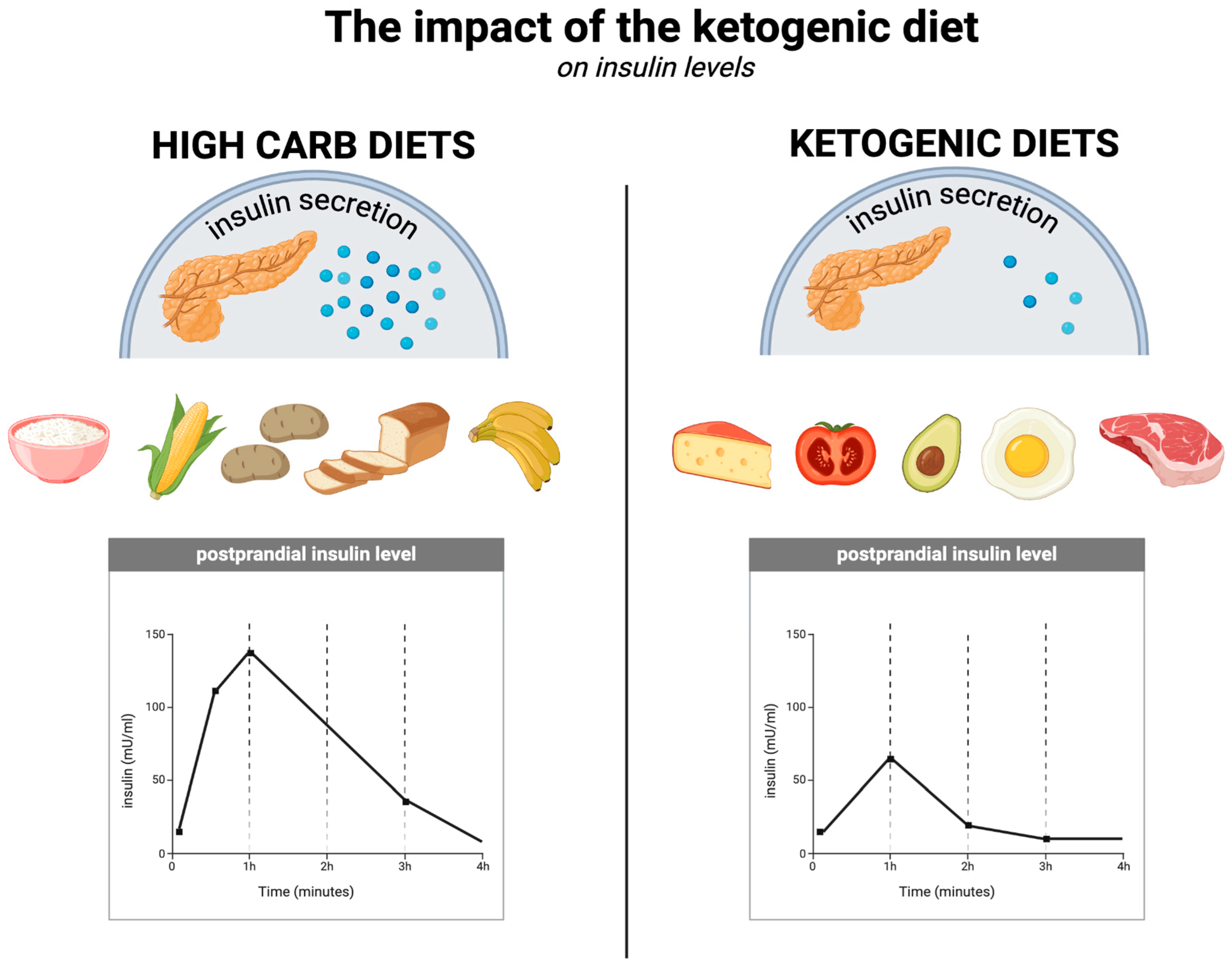 Nutrients 17 00965 g004