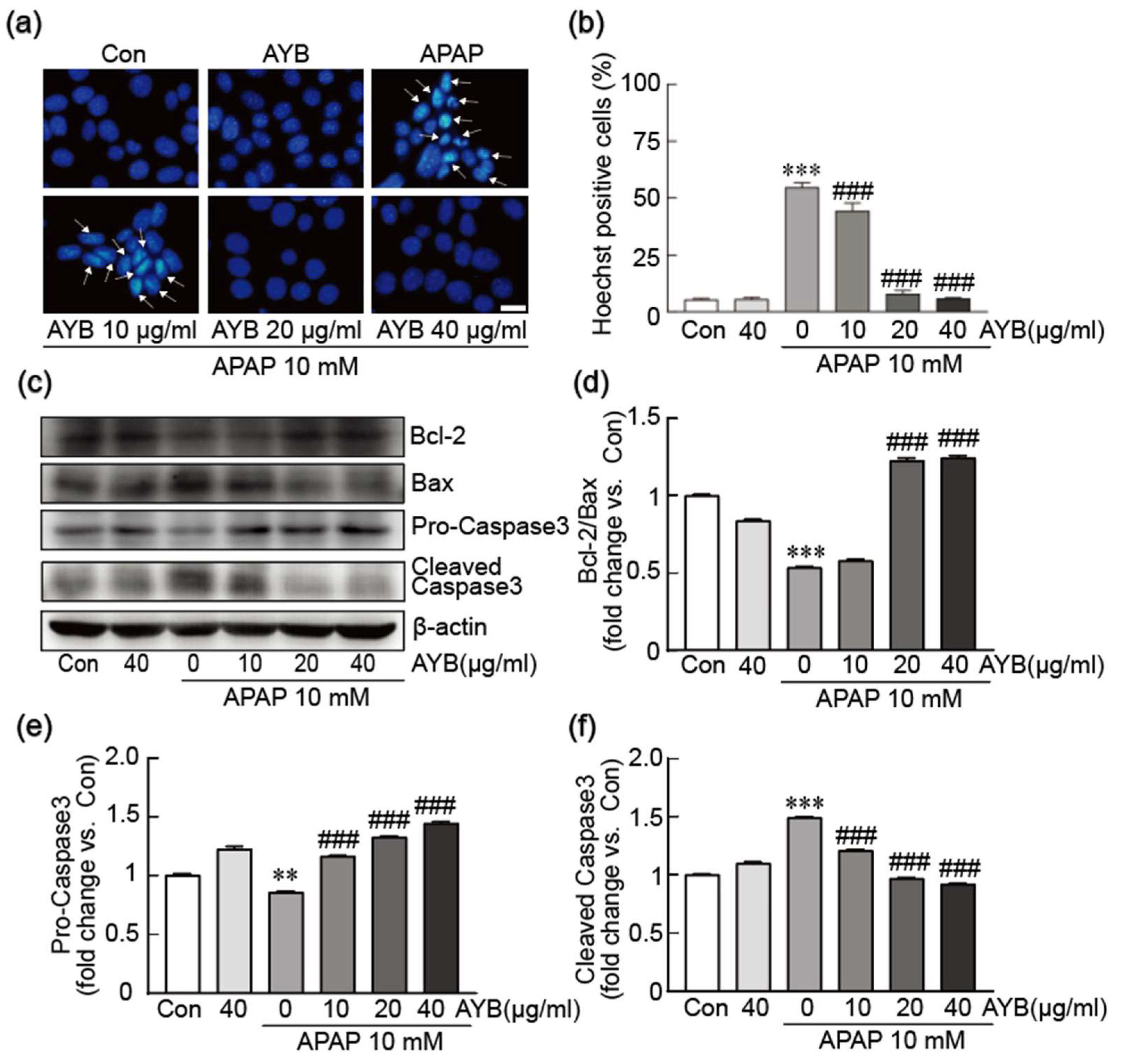 Nutrients 17 00966 g002 Nutrients 17 00966 g002