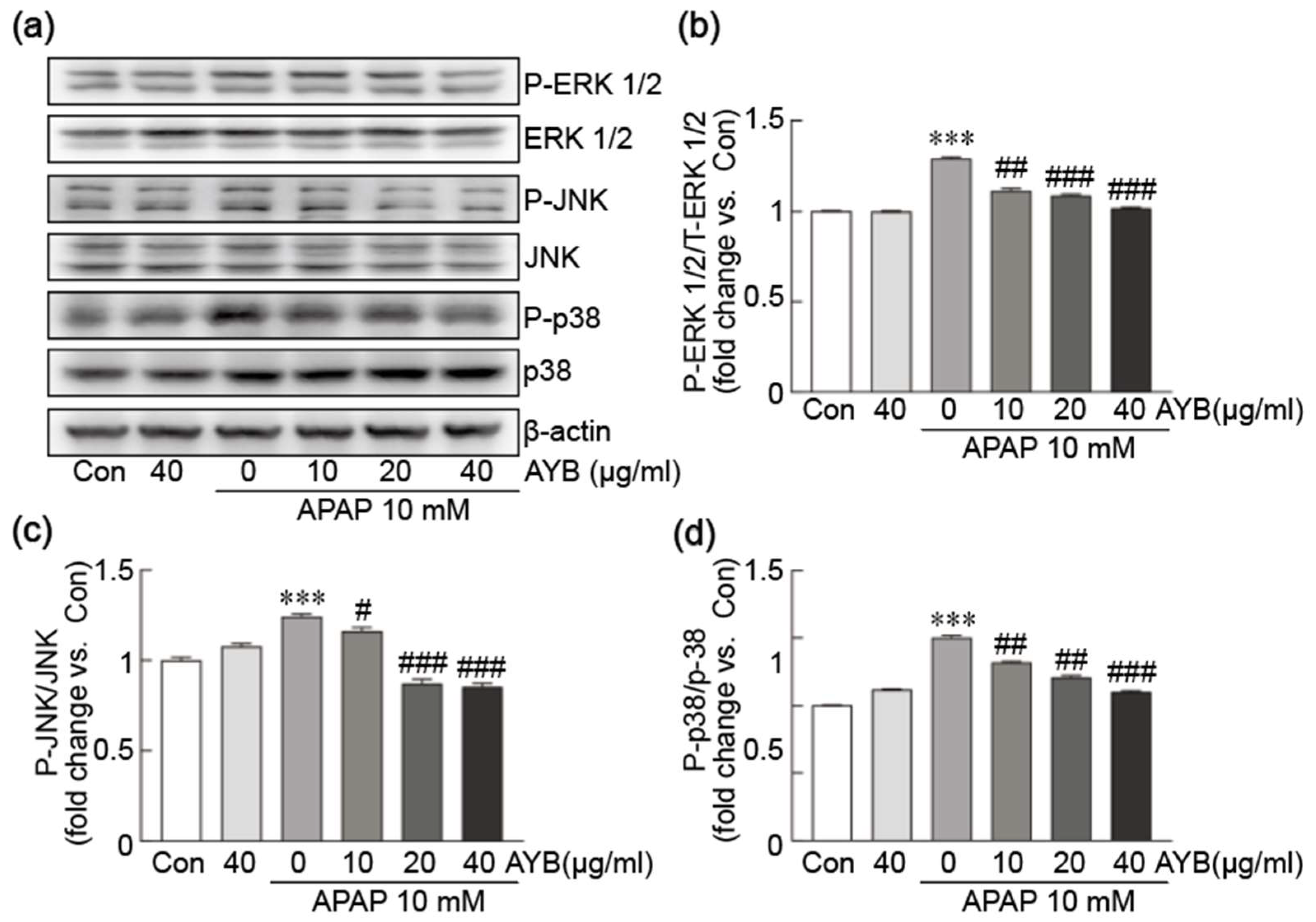 Nutrients 17 00966 g004 Nutrients 17 00966 g004