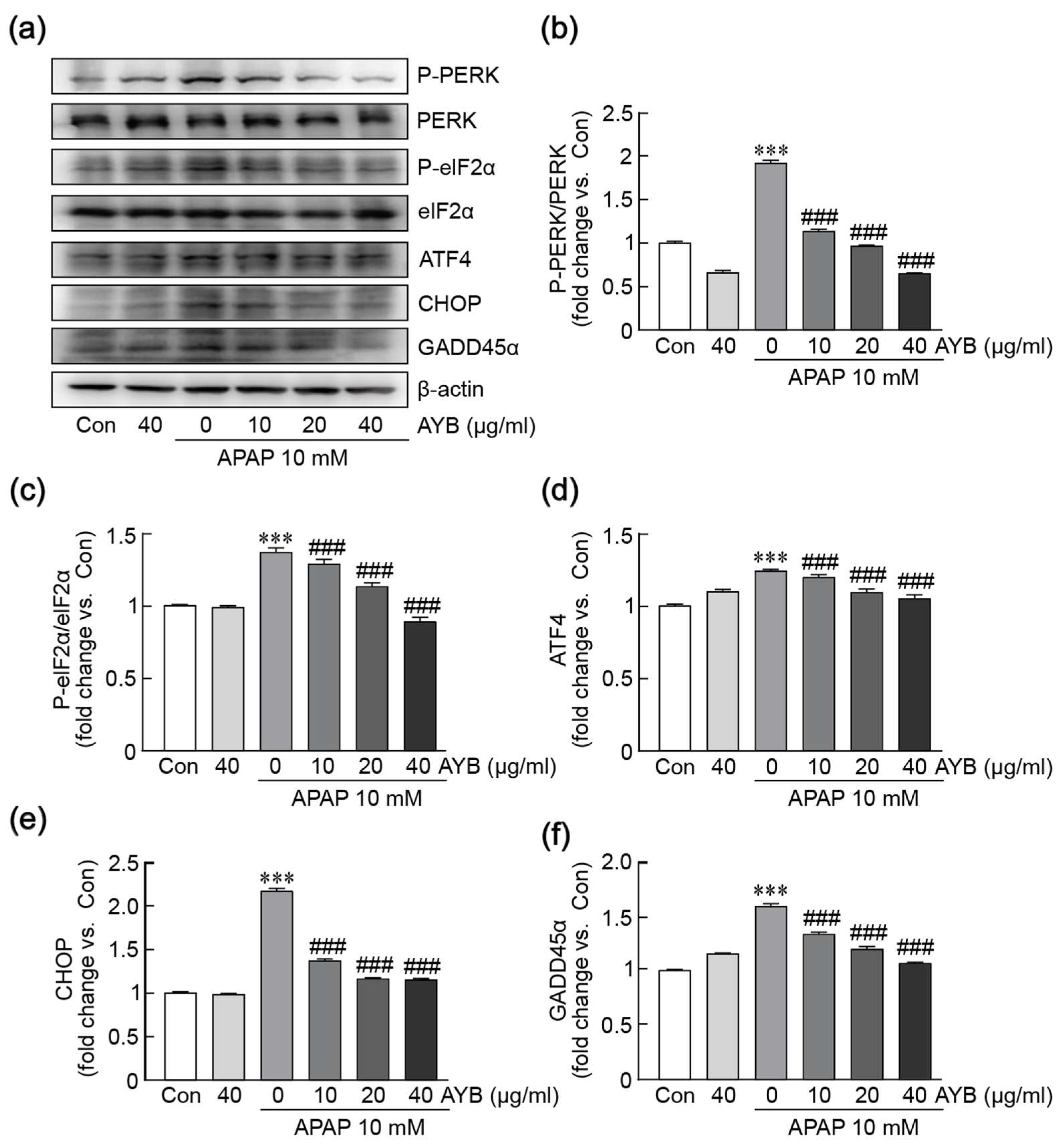 Nutrients 17 00966 g005 Nutrients 17 00966 g005