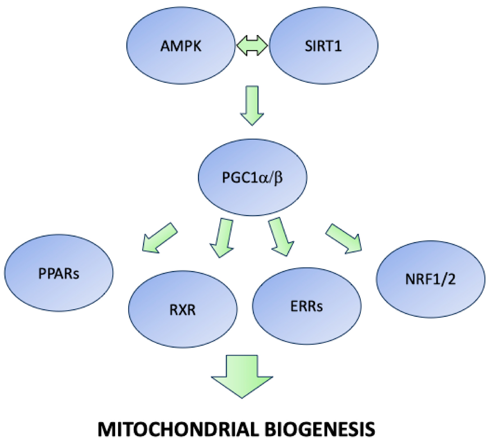 Nutrients 17 00969 g002