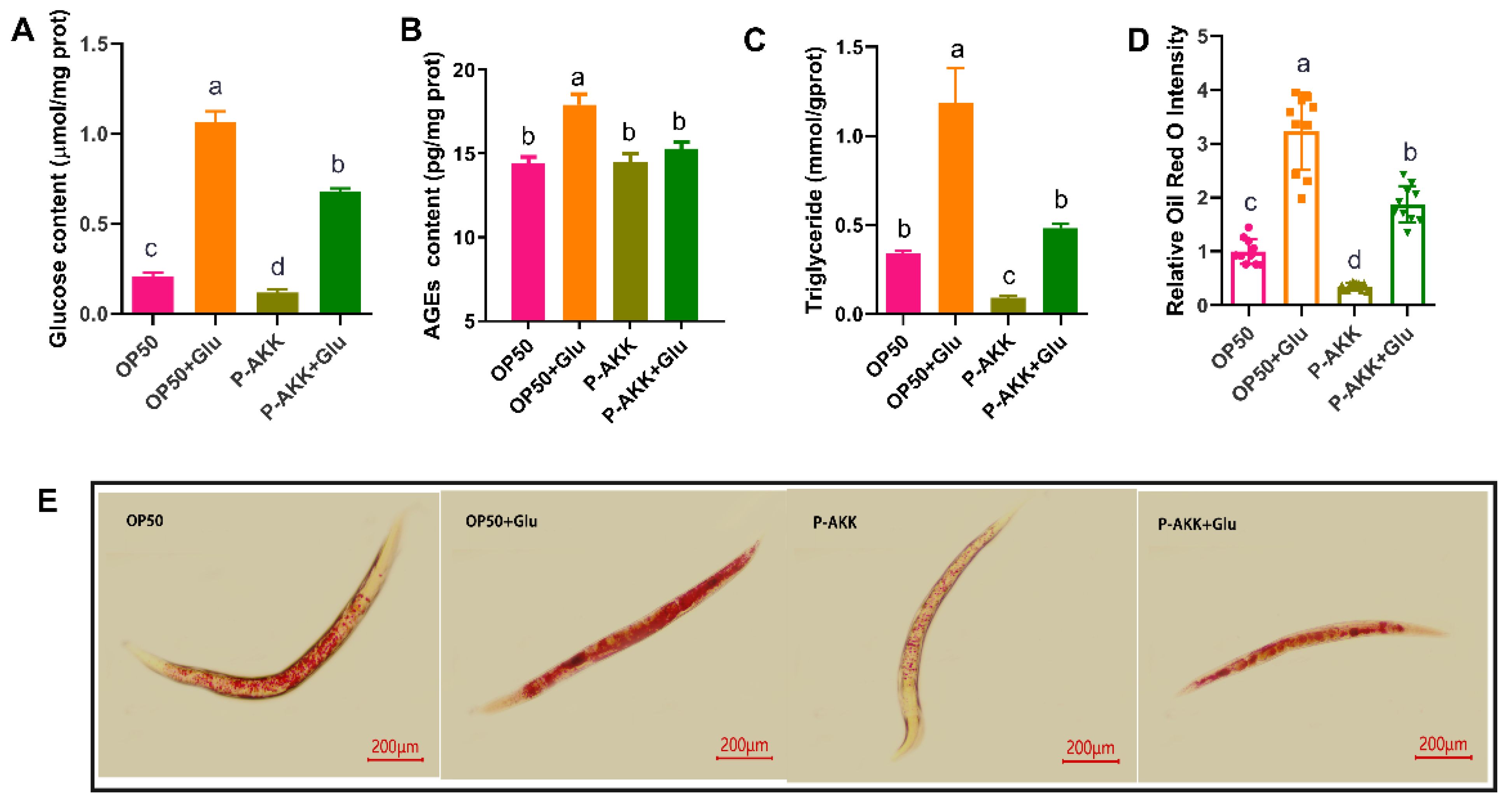 Nutrients 17 00976 g002