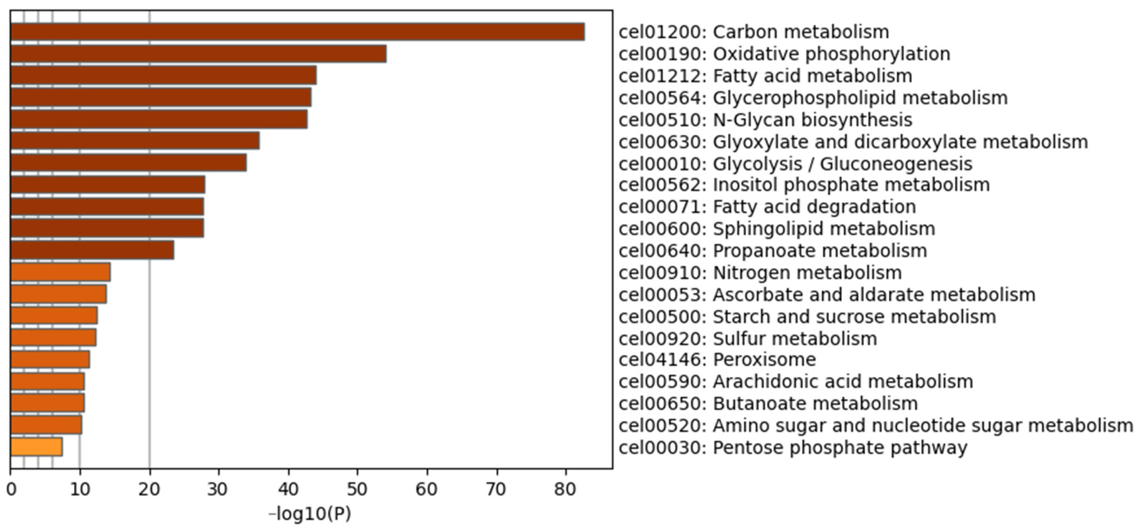 Nutrients 17 00976 g007