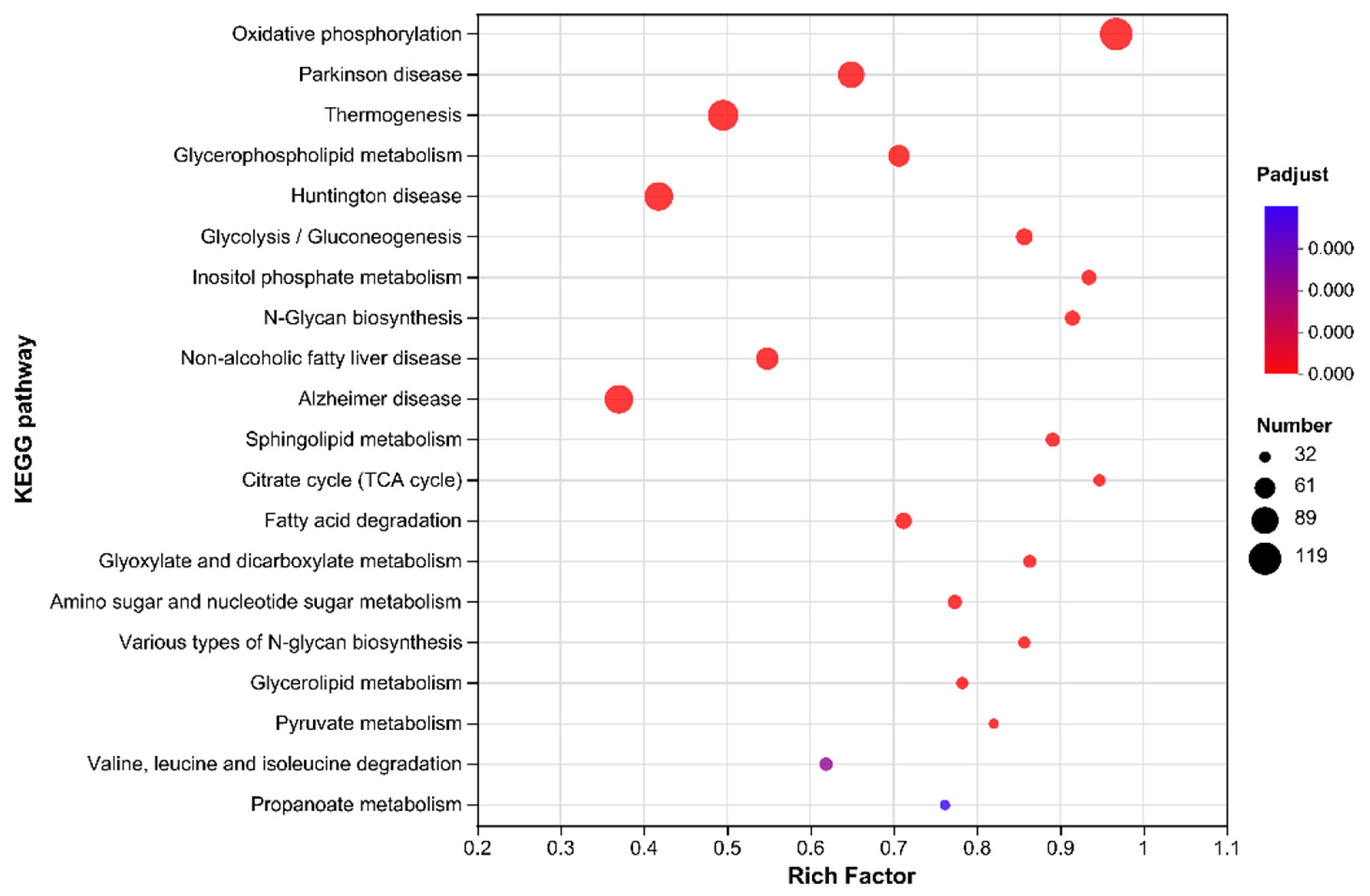 Nutrients 17 00976 g008
