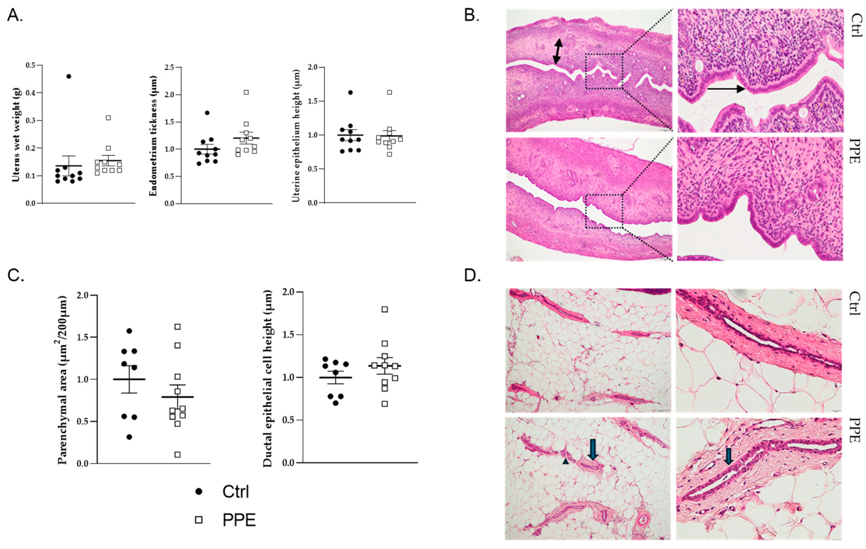 Nutrients 17 00984 g003