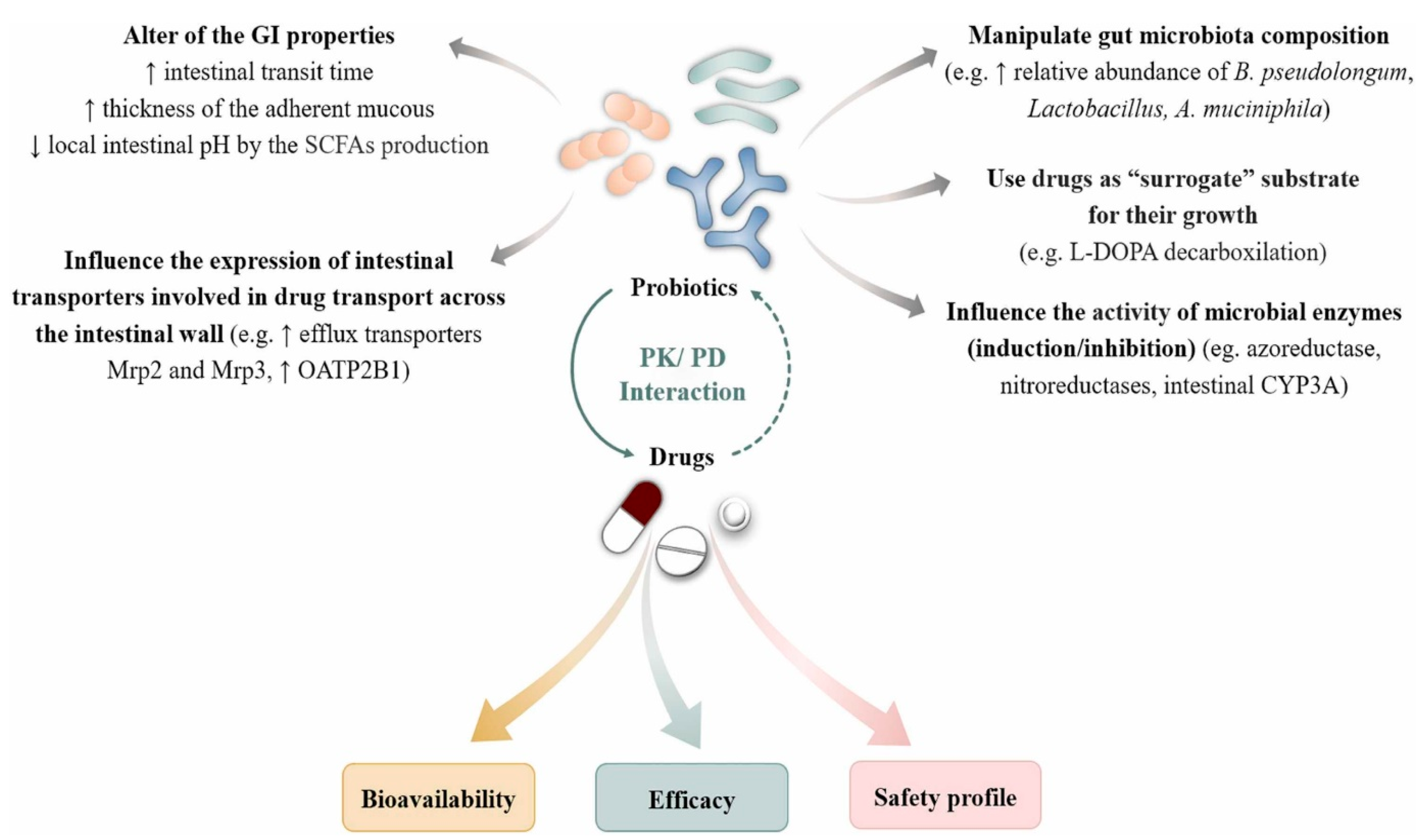Nutrients 17 00986 g001 Nutrients 17 00986 g001
