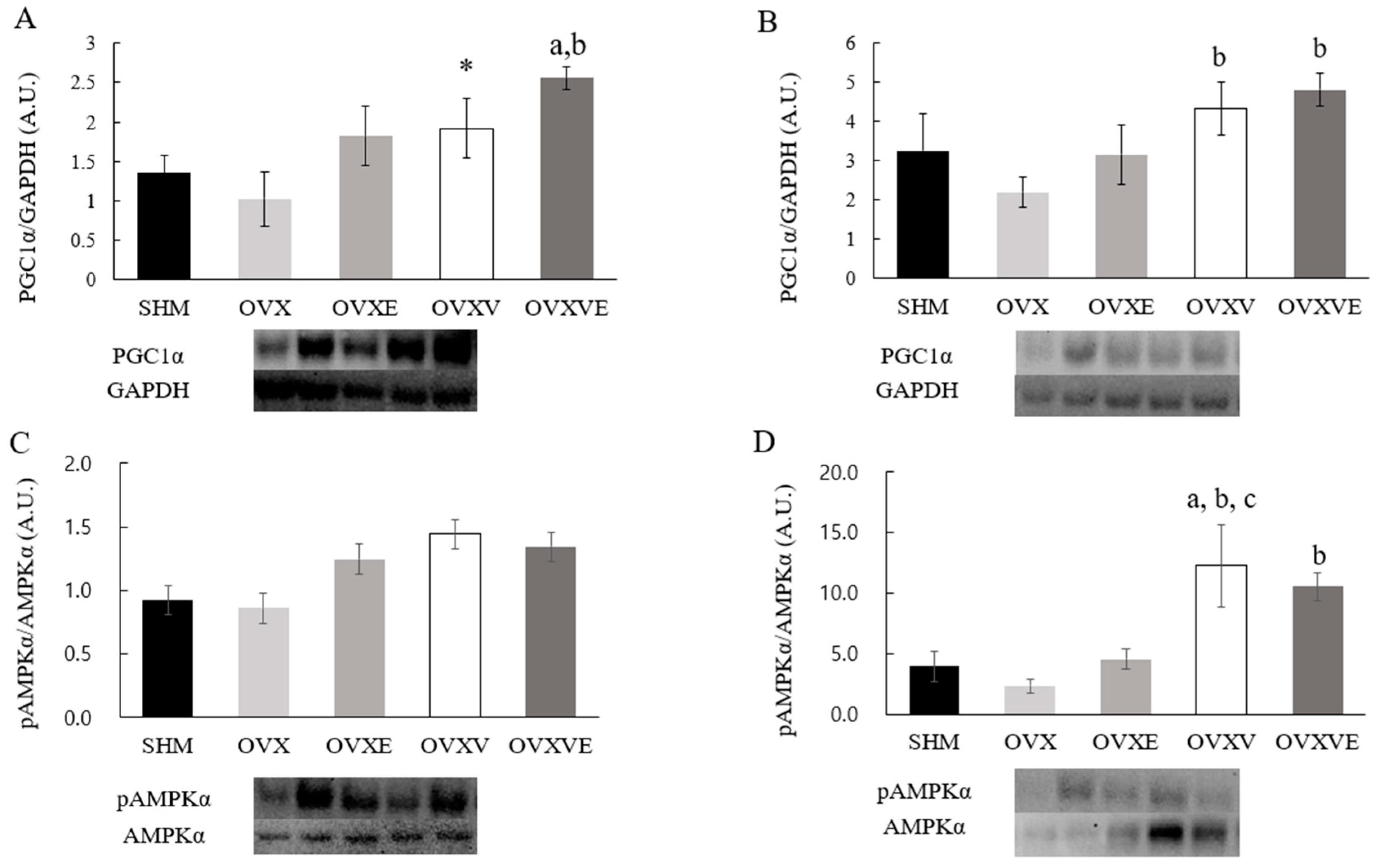Nutrients 17 00991 g005