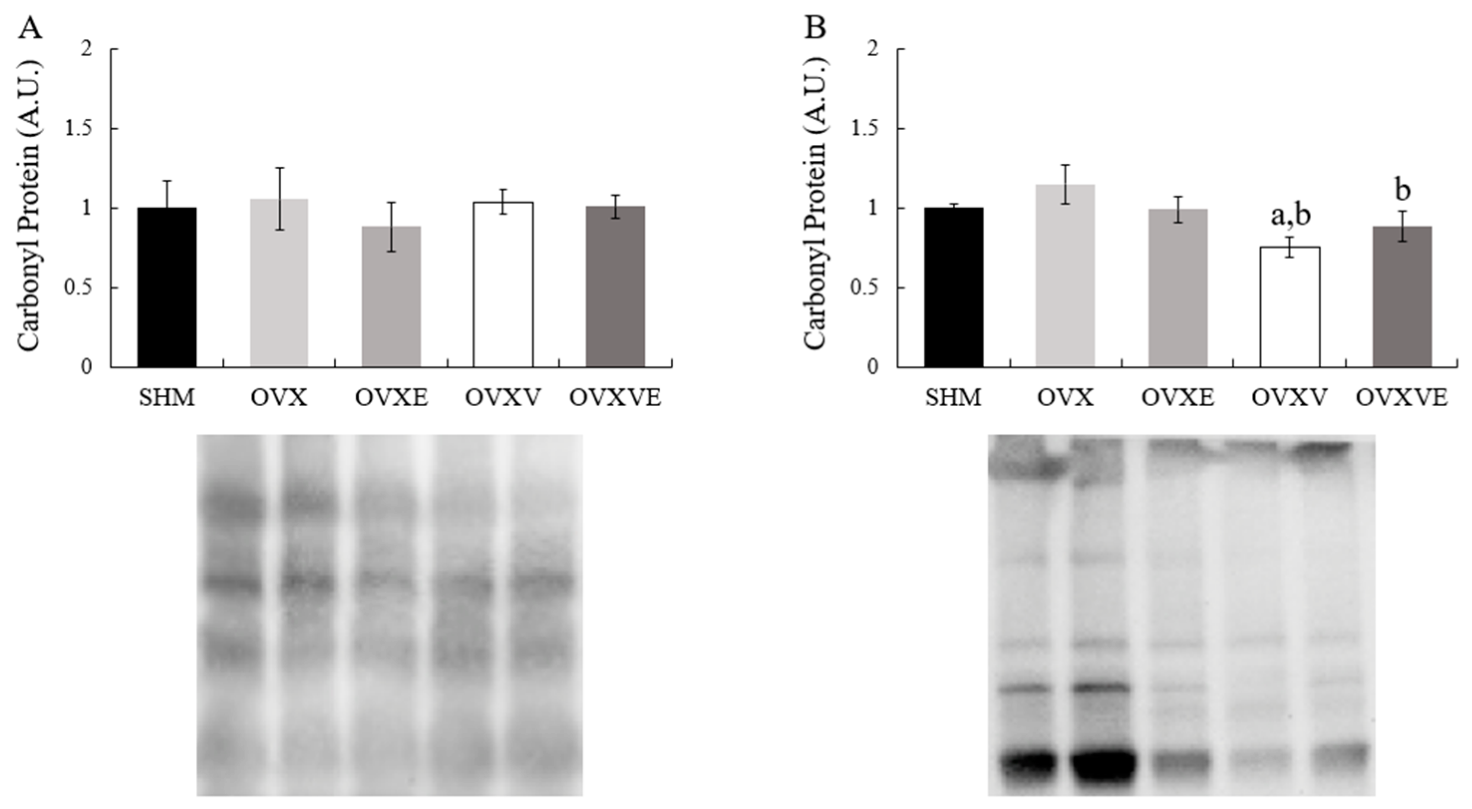 Nutrients 17 00991 g006