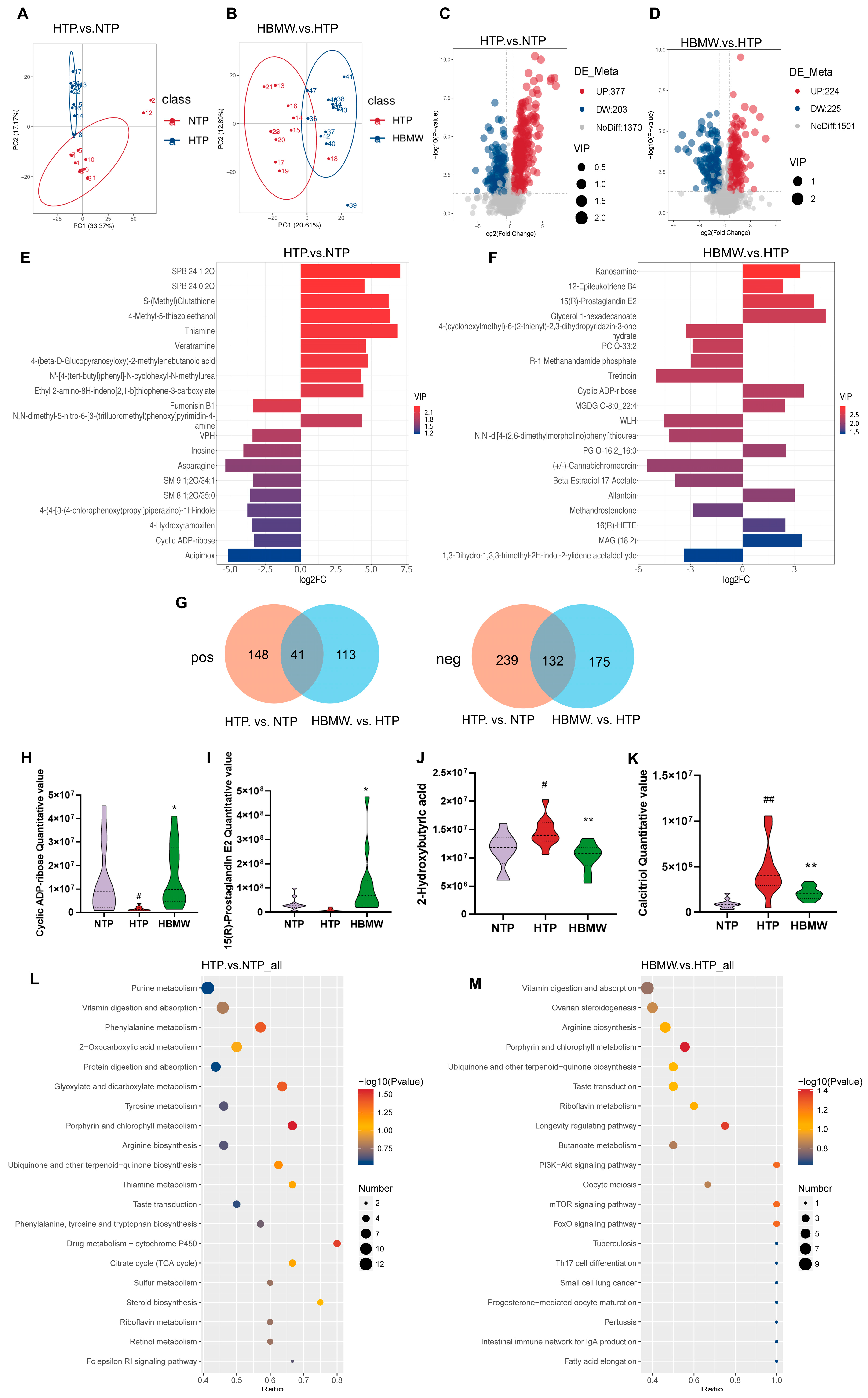 Nutrients 17 00998 g005