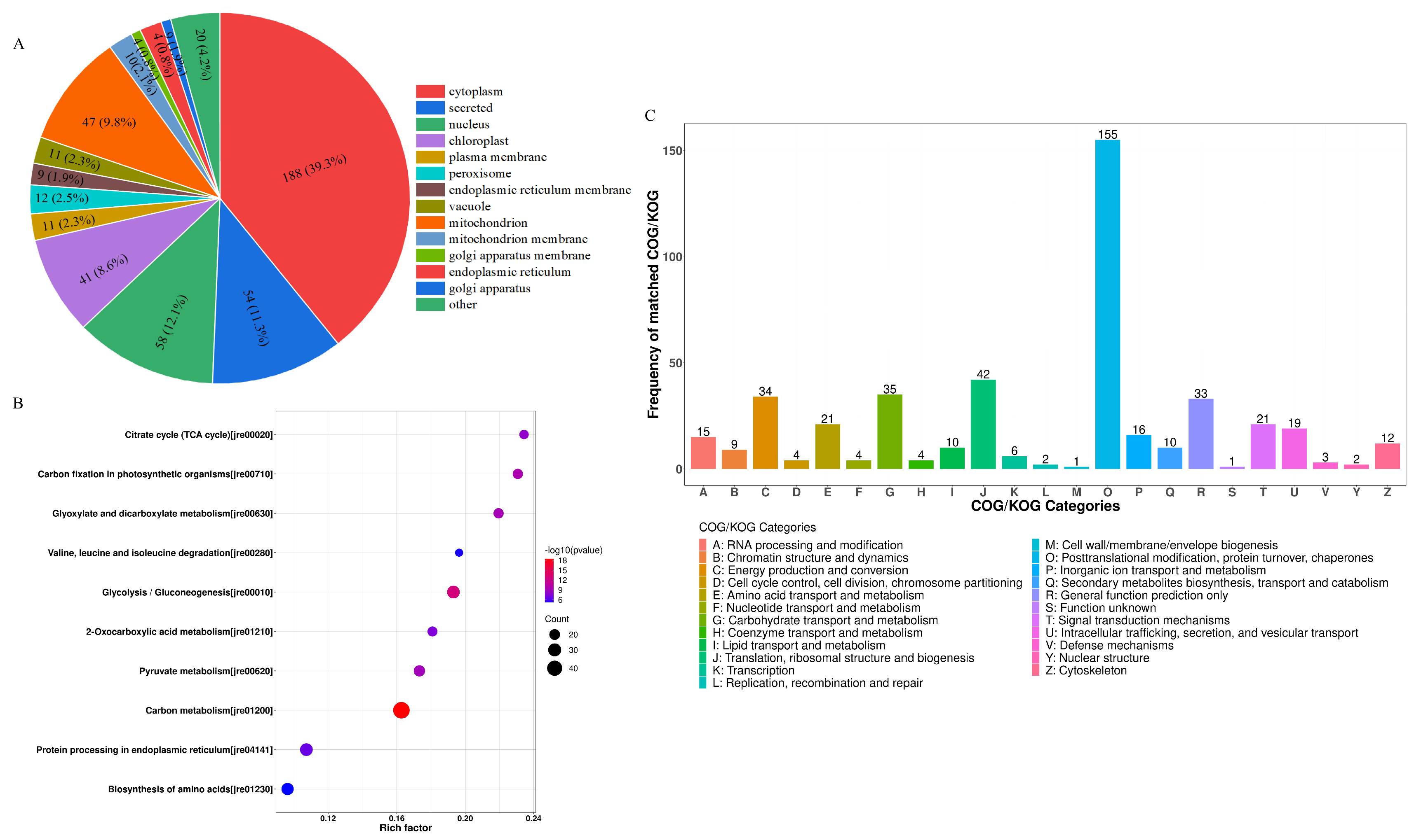 Nutrients 17 01002 g004