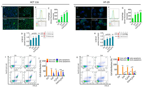 injectable l carnitine half life l-Carnitine and Acetyl-l-Carnitine Induce Metabolism Alteration and  Mitophagy-Related Cell Death in Colorectal Cancer Cells
