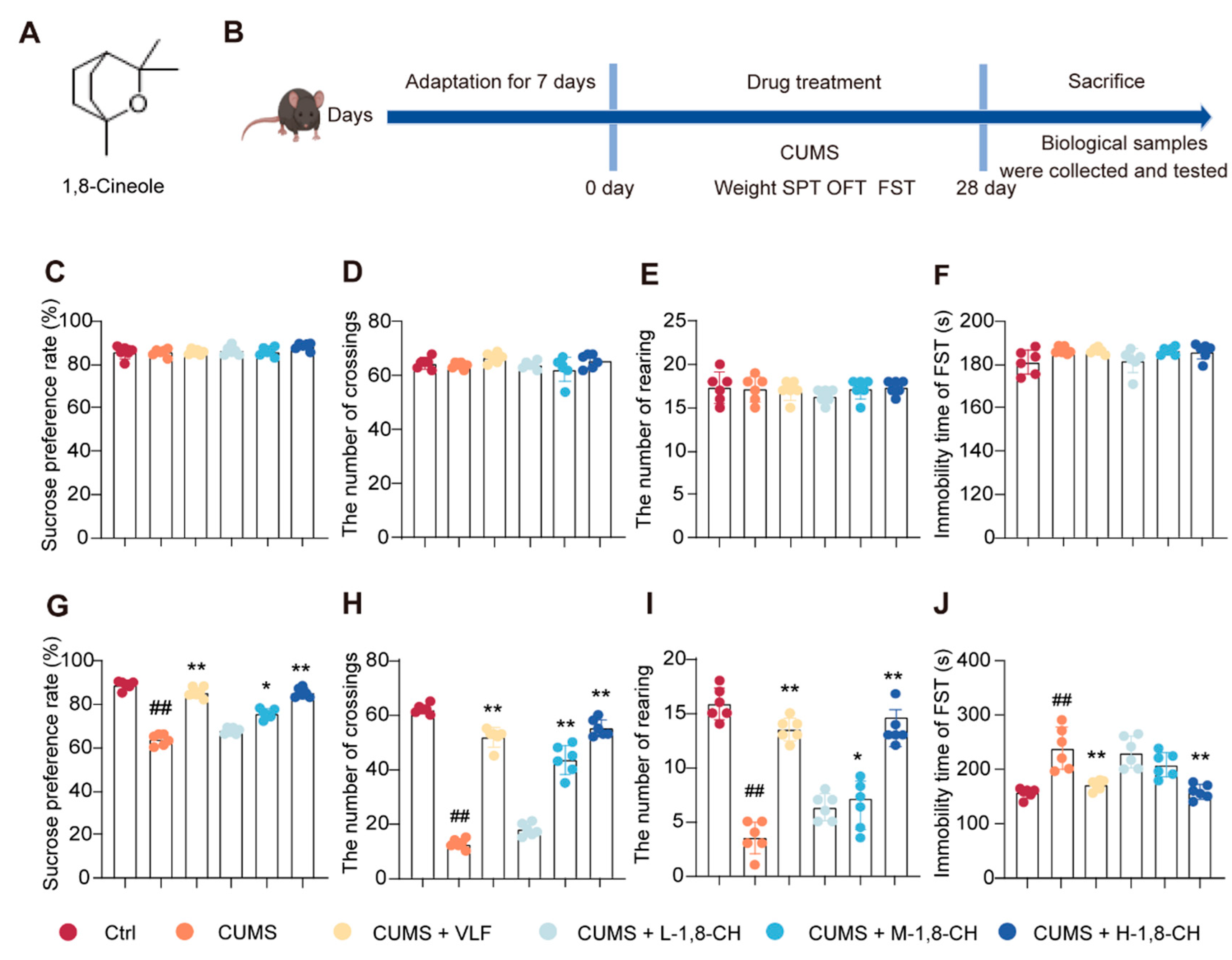 Nutrients 17 01027 g001