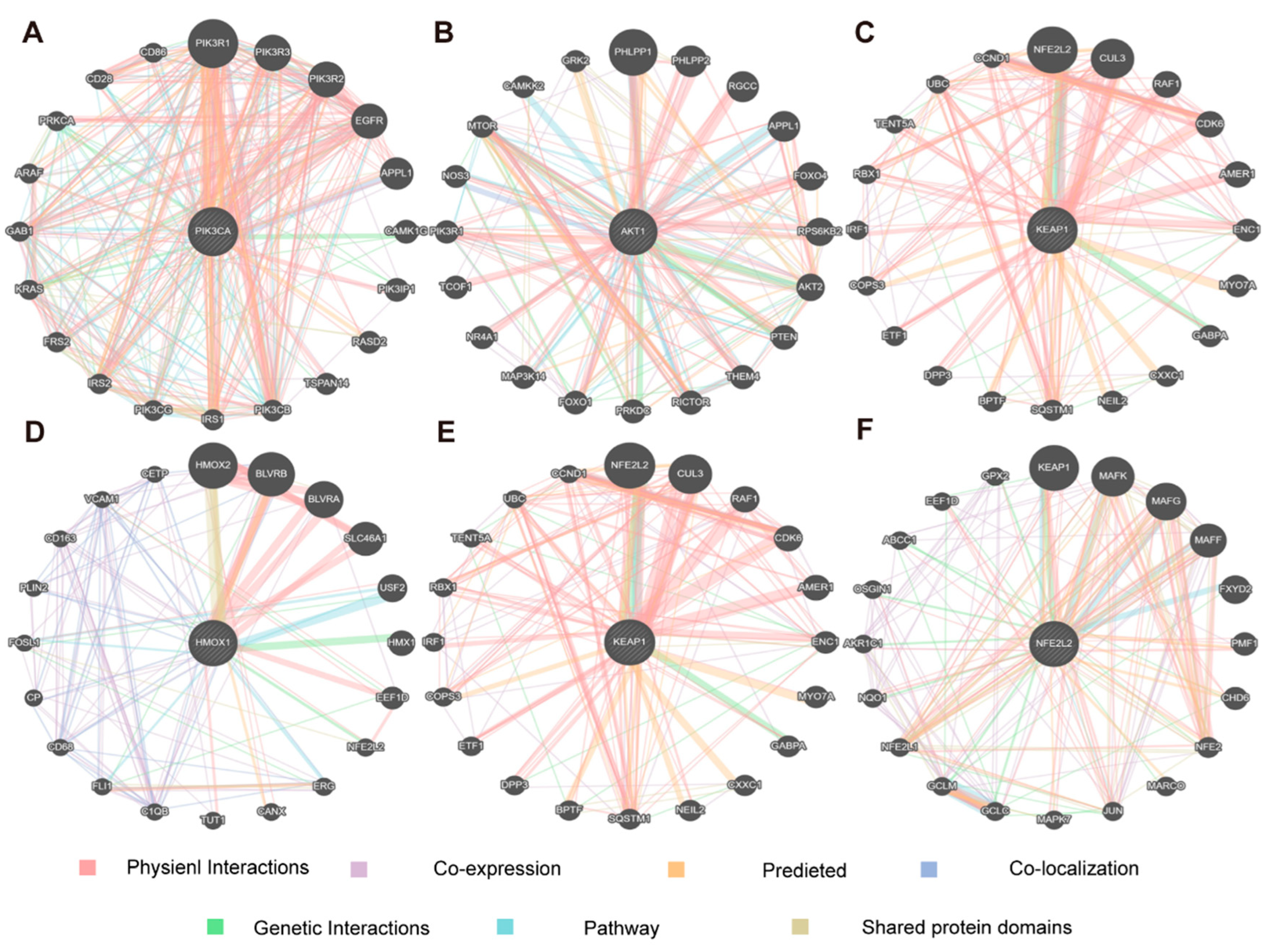 Nutrients 17 01027 g005